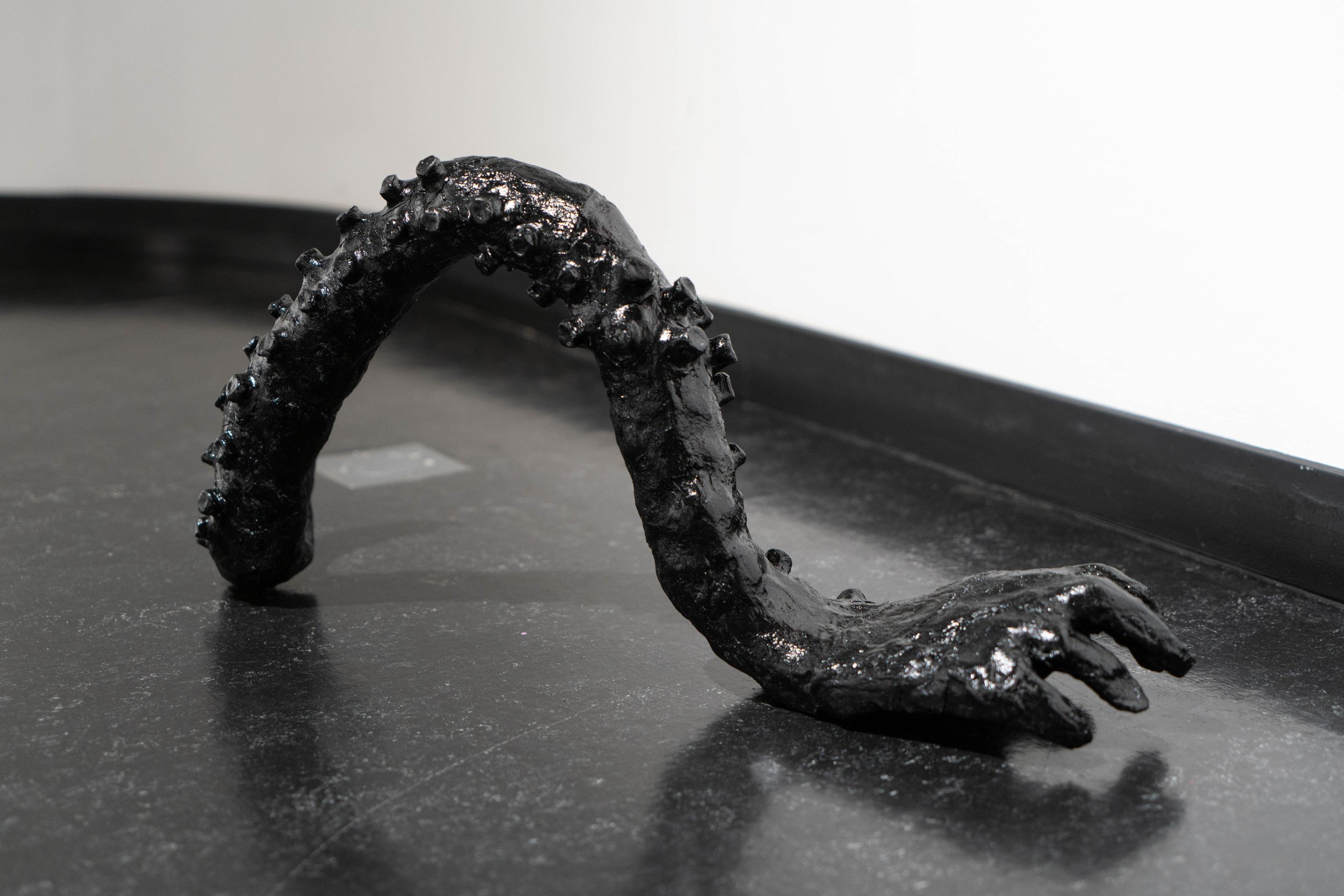 Открытие выставки «Щупальца длиннее ночи». Фотограф Павел Шальнев