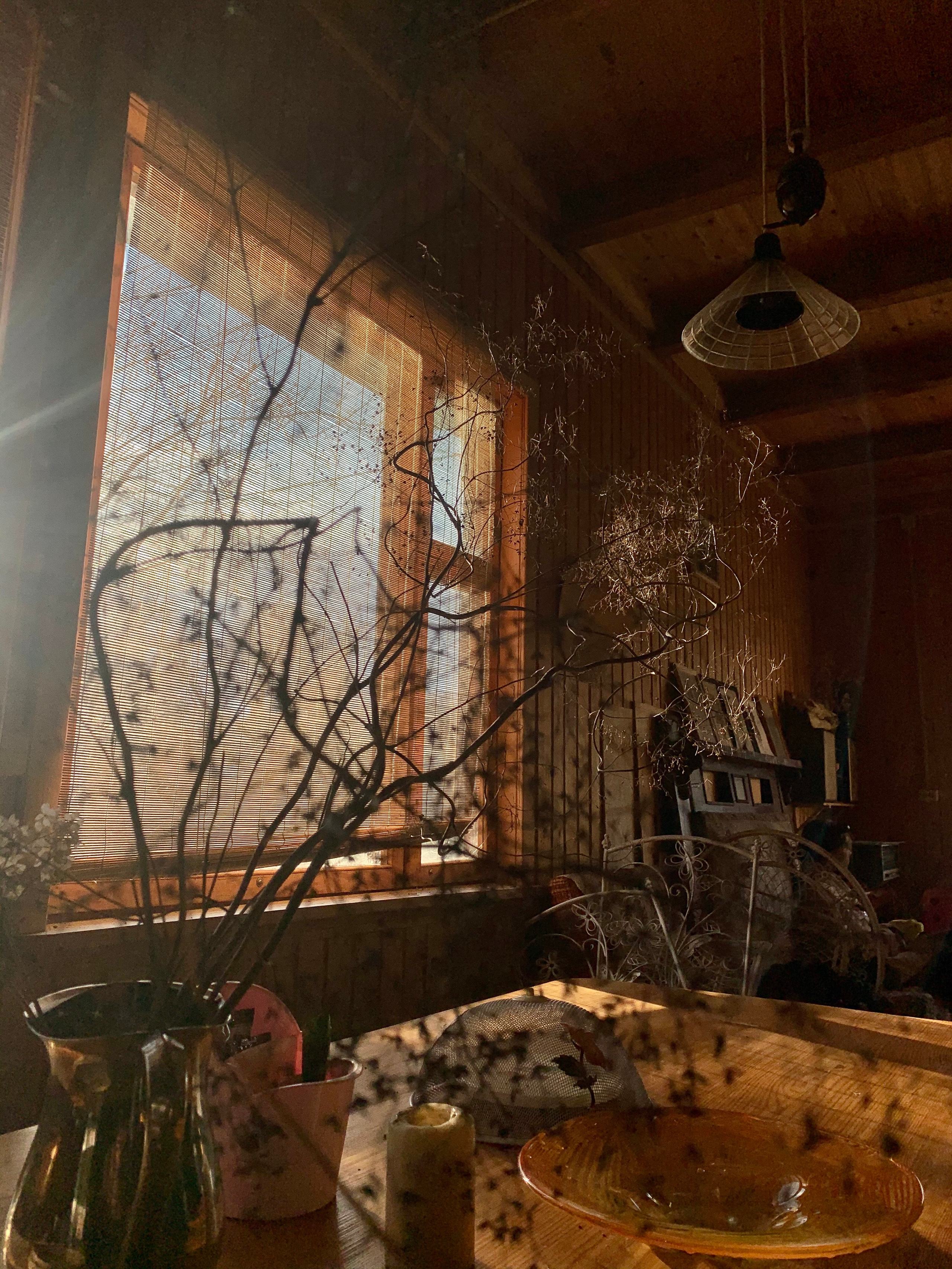 Разное. Фотограф Павел Шальнев