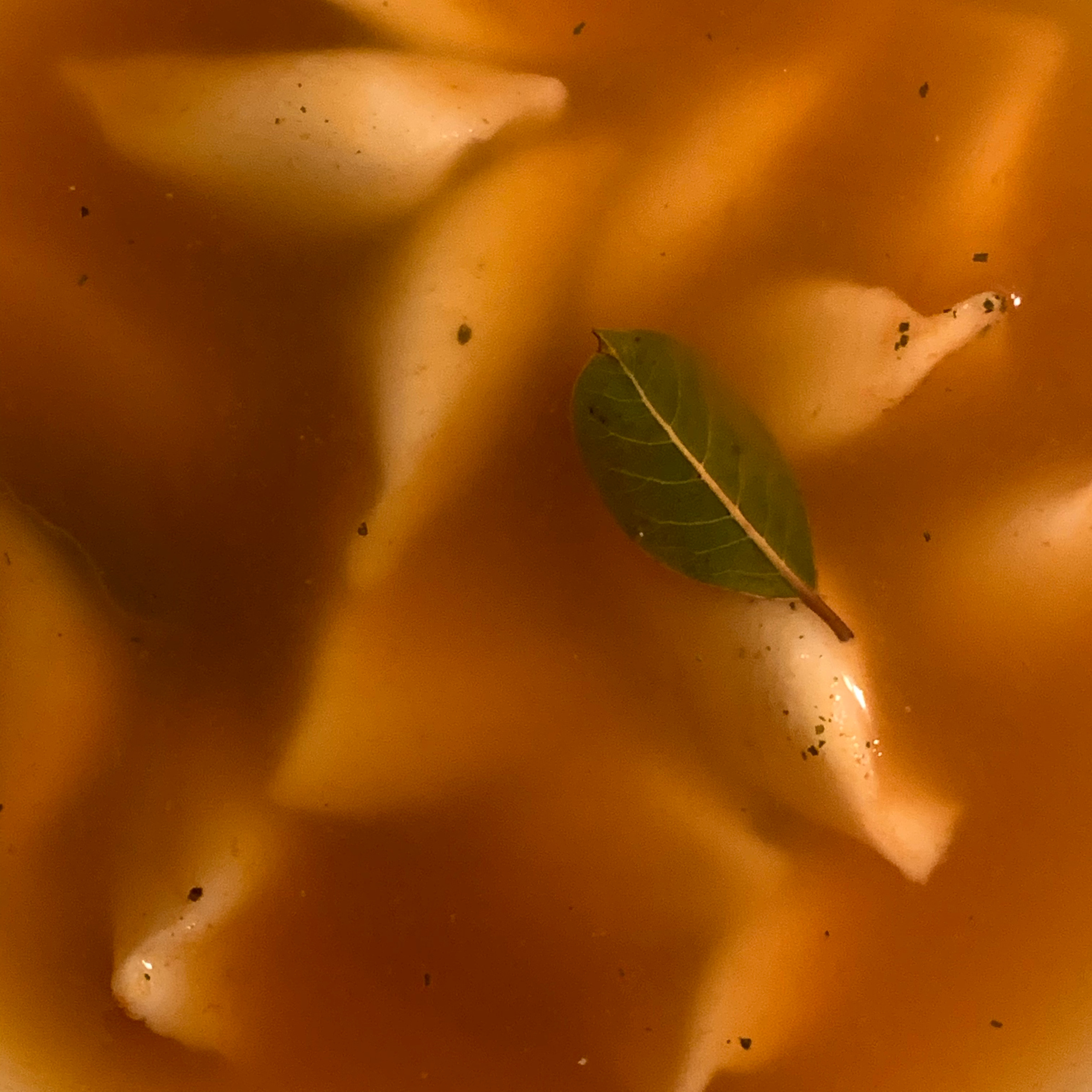 Разное. Фотограф Павел Шальнев