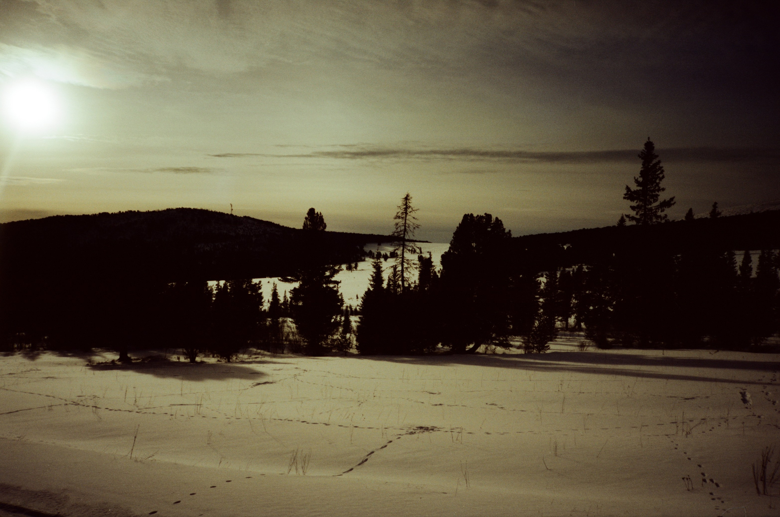 Дорога в верхах Алтая и Семинский перевал. Фотограф-документалист Мария Осокина