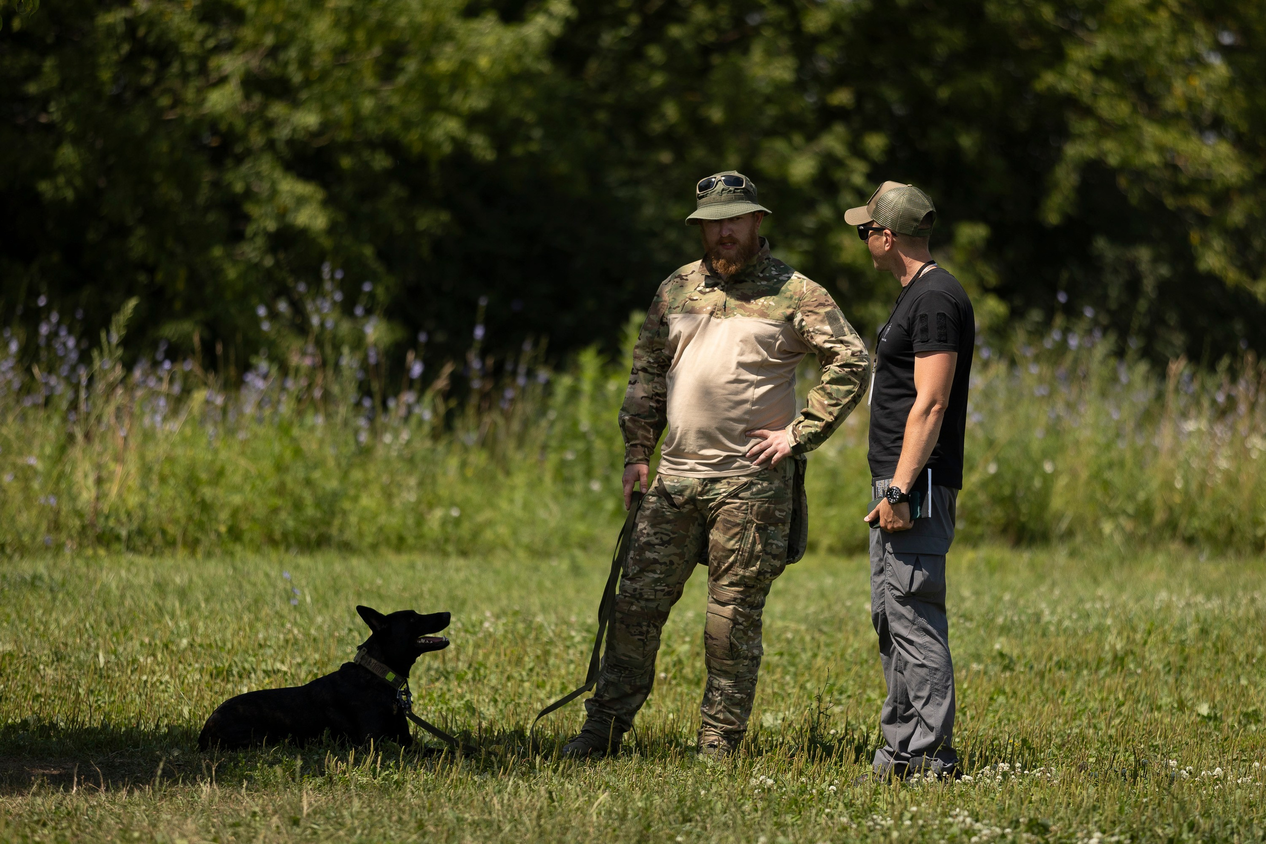 Семинар по поиску ВВ. Фотограф анималист, семейный фотограф, фотограф собак Комратова Мария. г. Москва