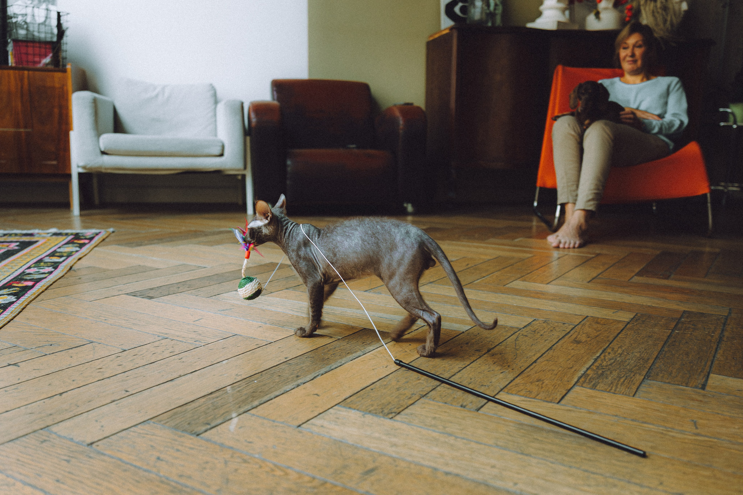 Кокос, Света, Динара и Вилли