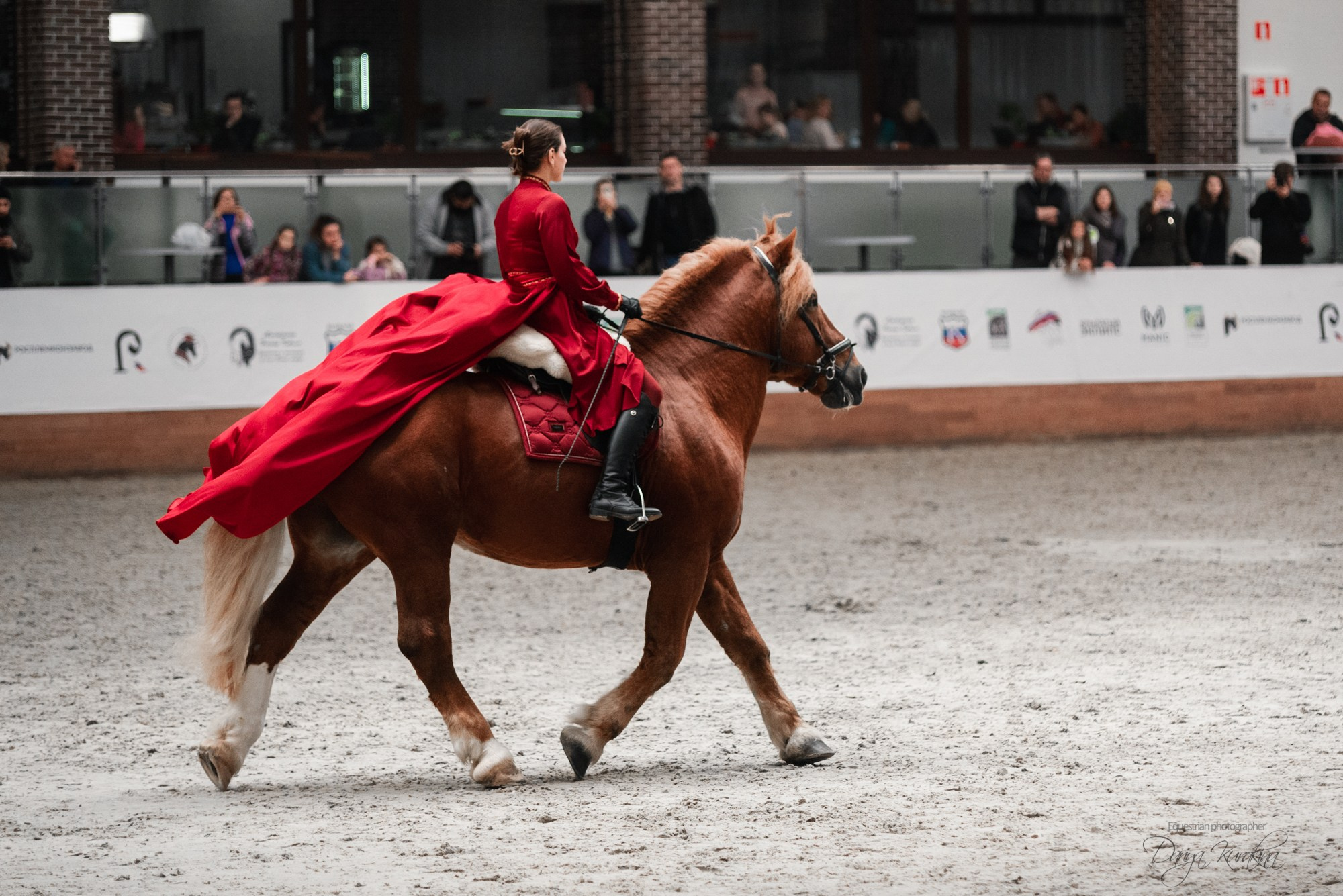 8-я международная выставка Конная Россия. Конный фотограф Куракина Дарья • Фотосессии с лошадьми