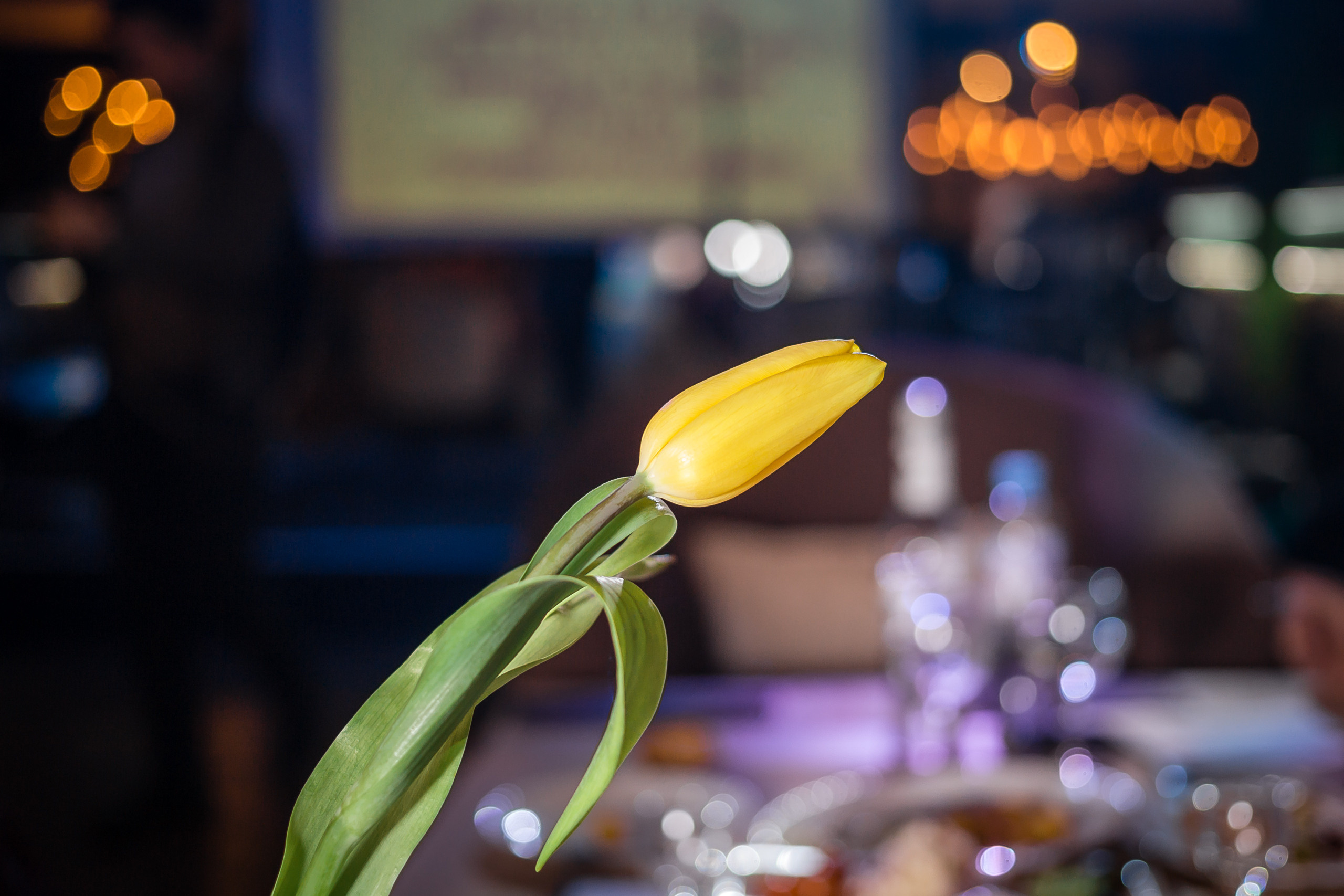 Квиз в Бамбуке. Фотографиня Мария Дикова