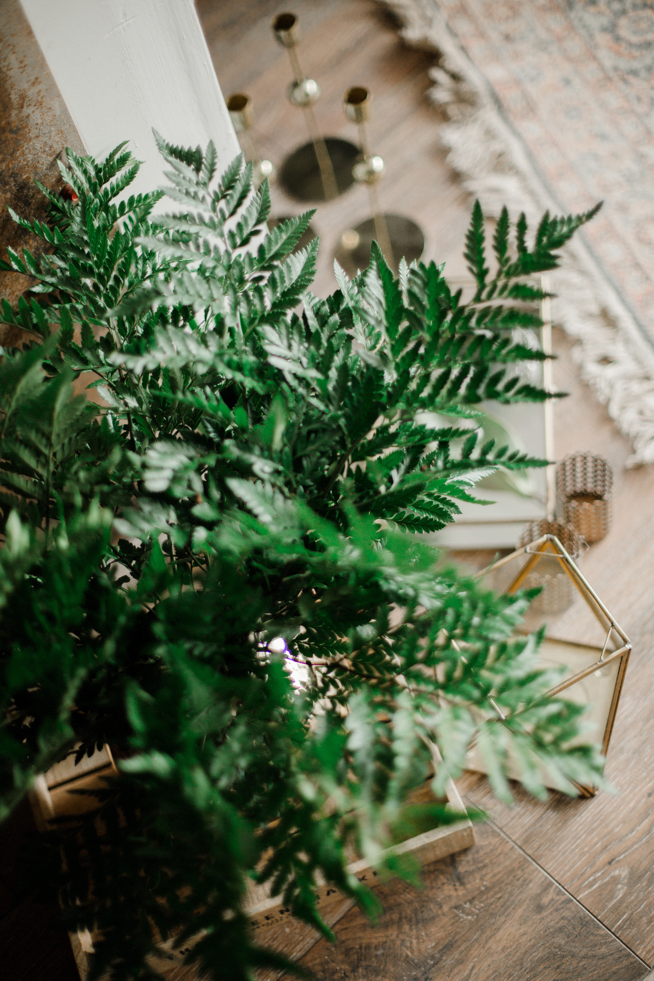 Выездная фотосессия. Катя Завьялова