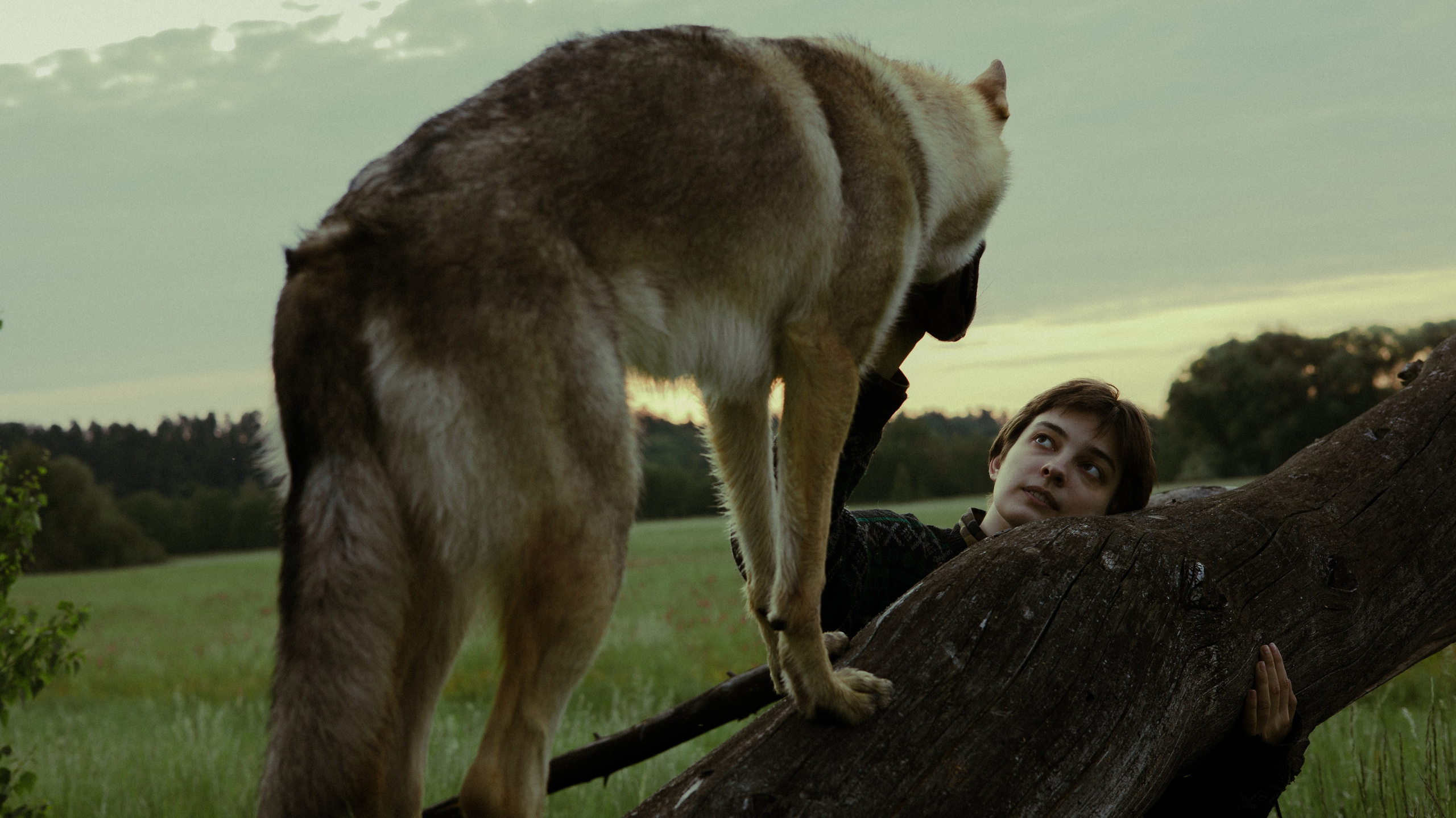 Маша и Дэрил. Фотограф-анималист Богданова Полина