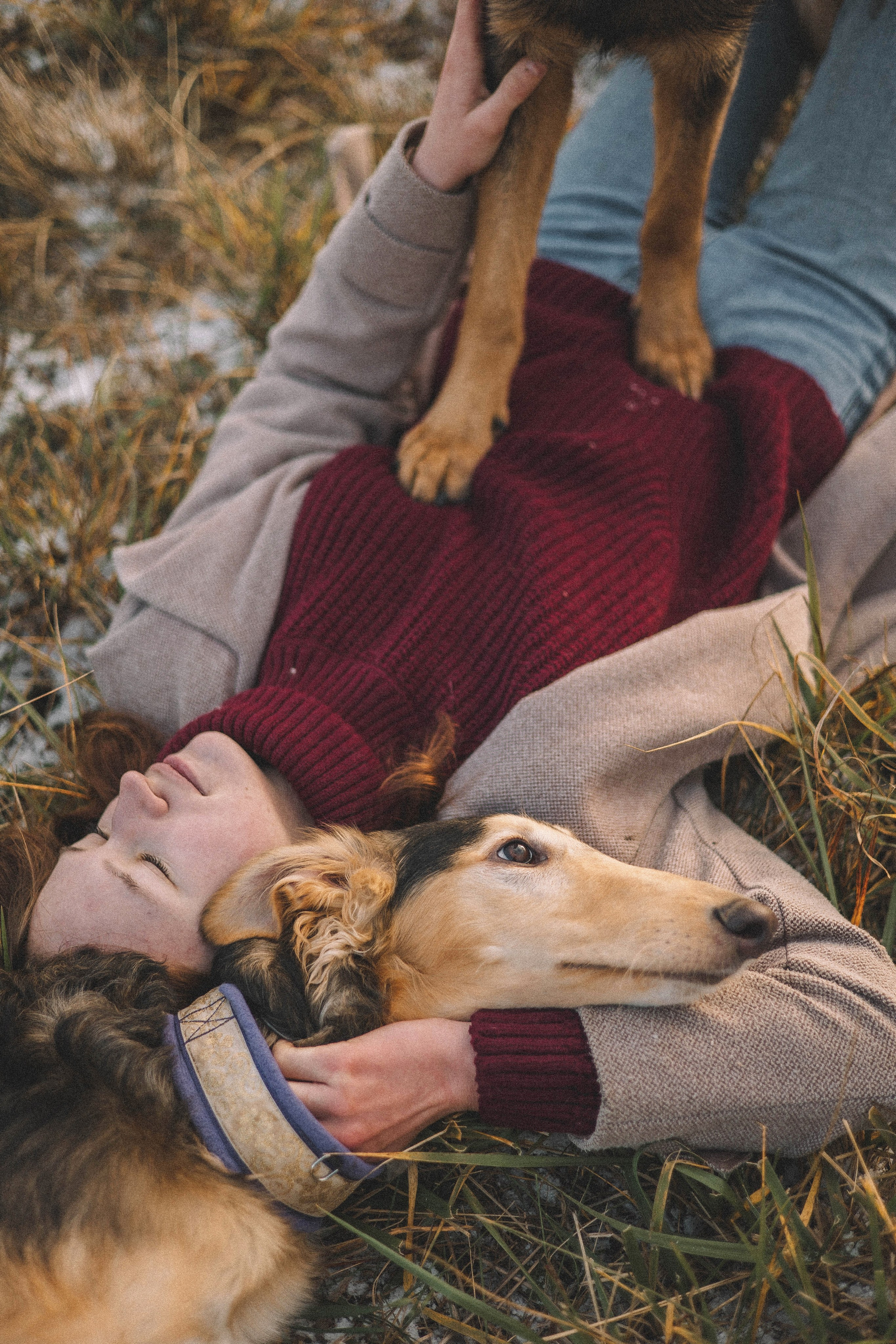 Алена, Леви и Микаса. Фотограф-анималист Богданова Полина