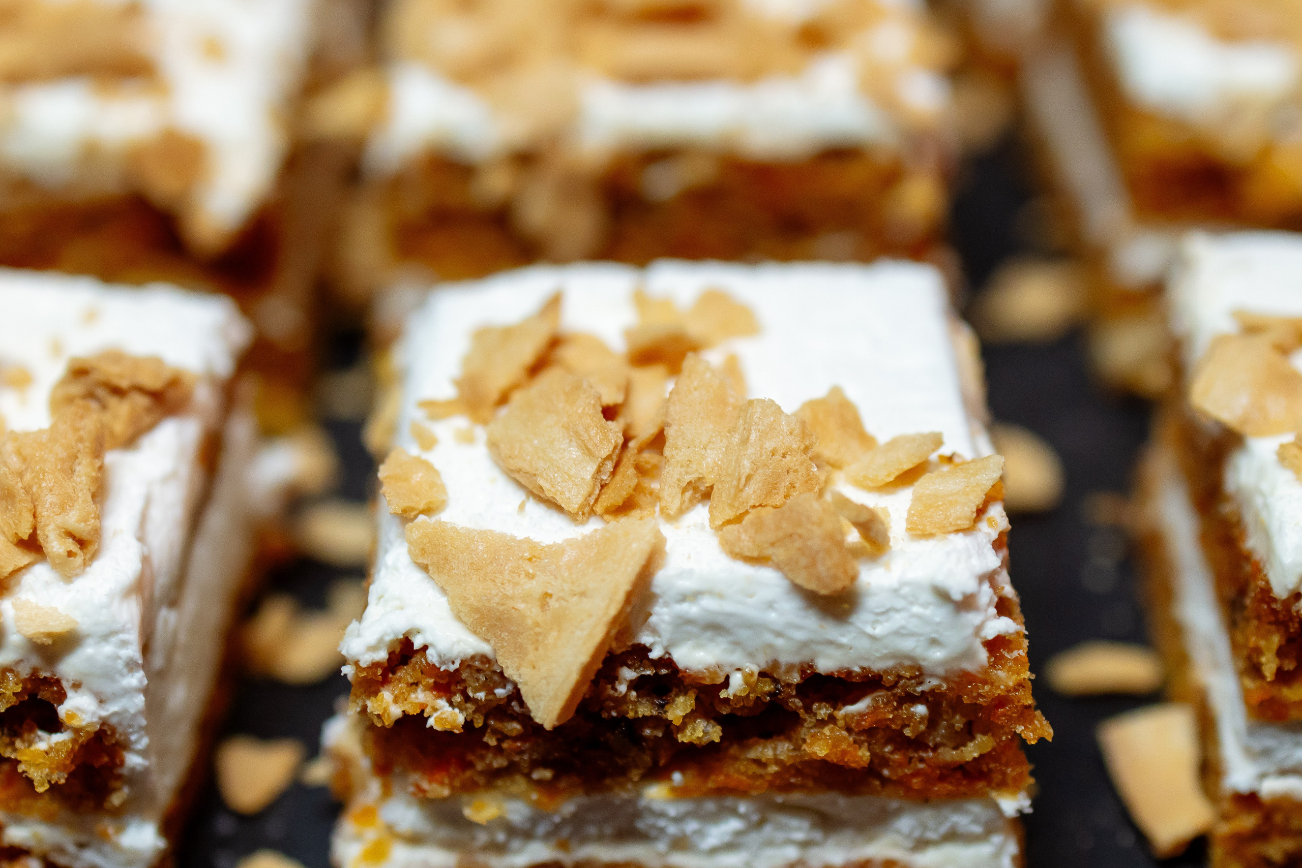 WESTERN PARTY. Фотограф Арина Тамочкина