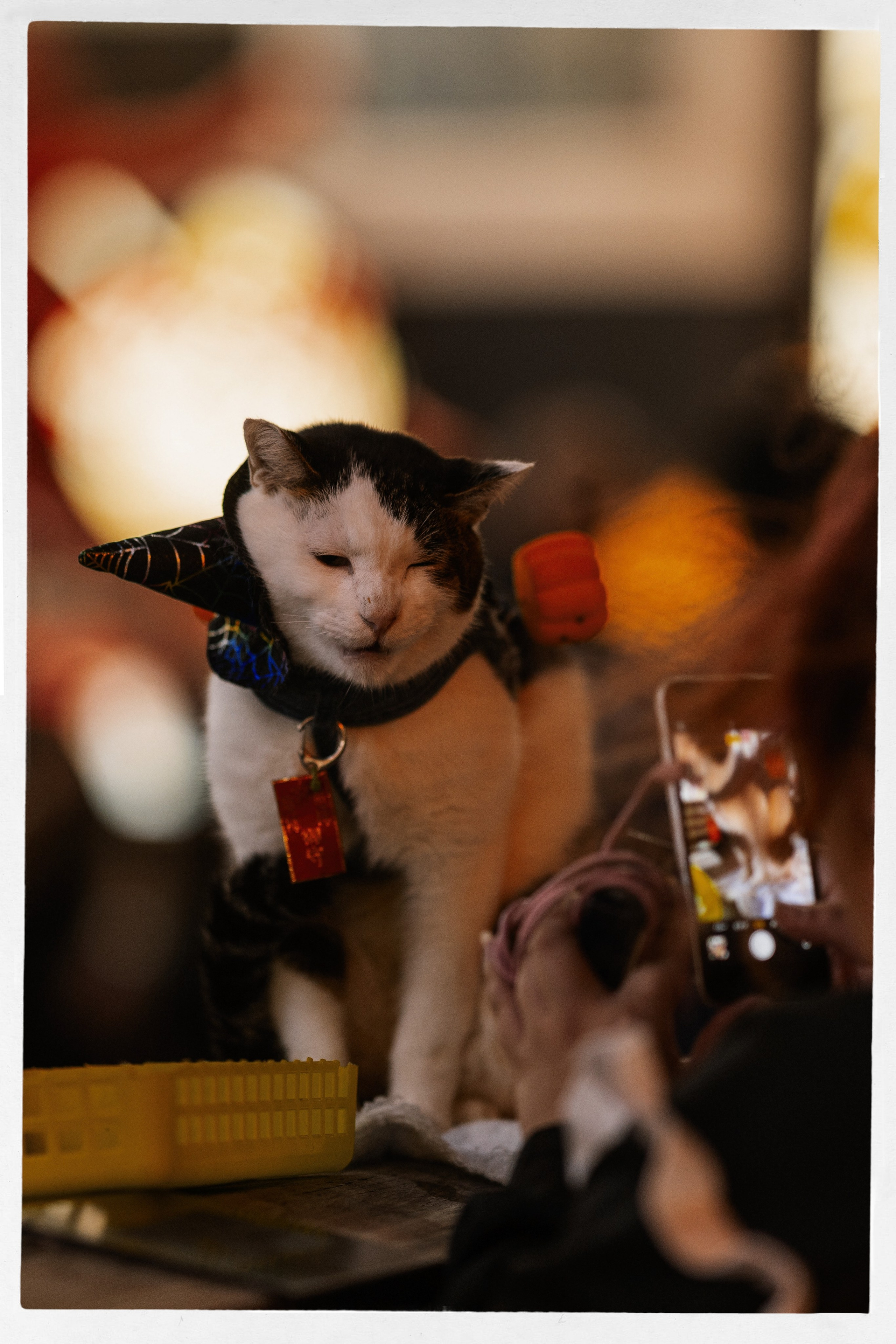 TRAVEL. Студийный и свадебный фотограф в Грозном Махашев Харон