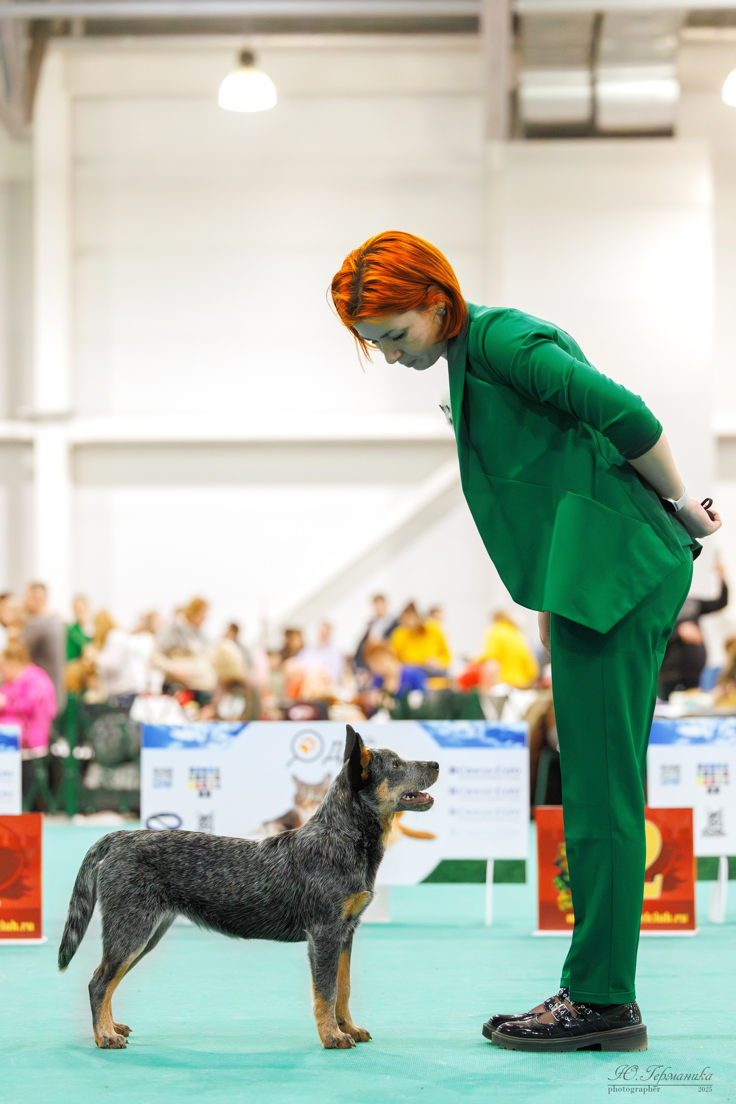 Гран-При 8.02.2025 и Крокус 09.02.2025. Фотограф-анималист Юлия Германика