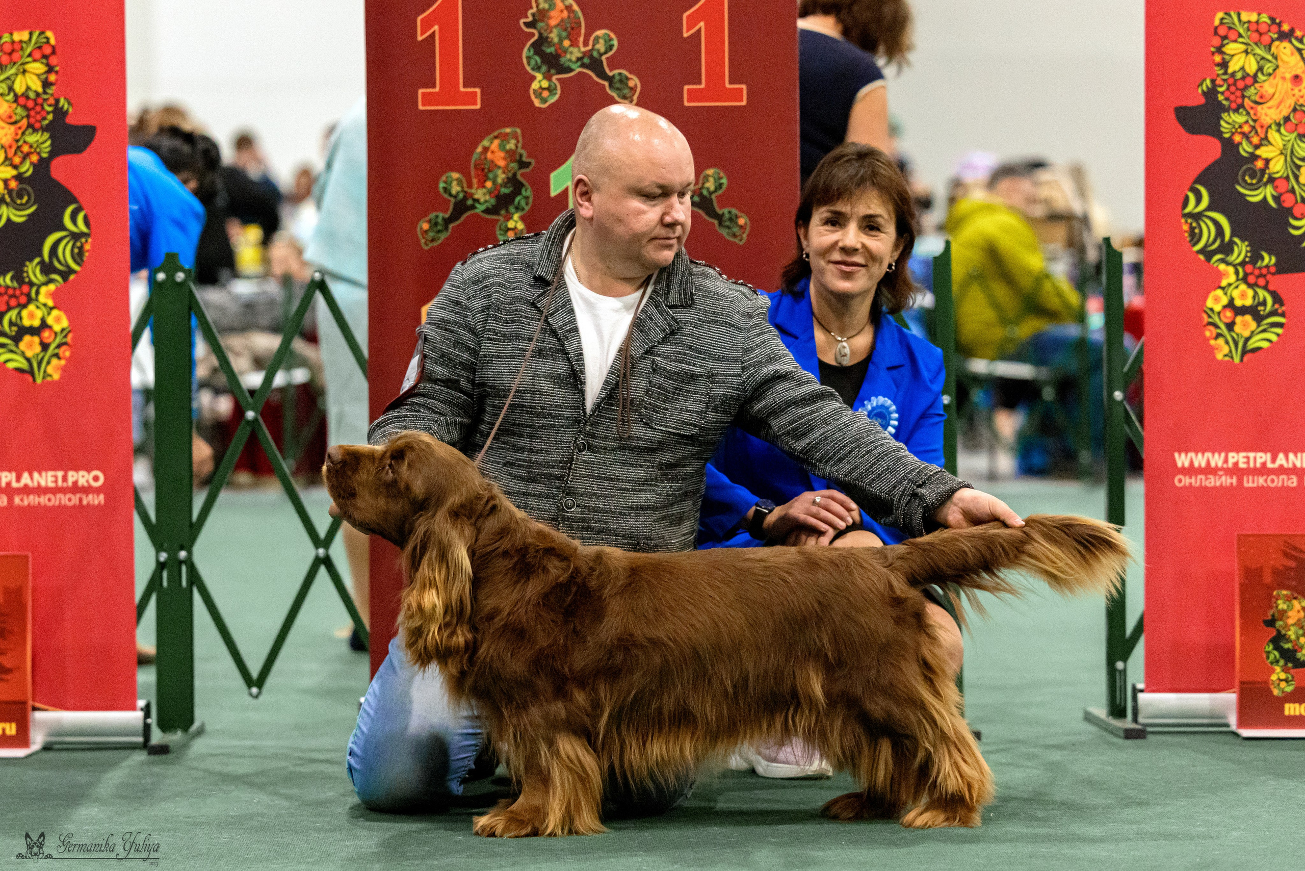 Сфера 29.10,Крокус 4.11,Сфера 12.11.2023. Фотограф-анималист Юлия Германика