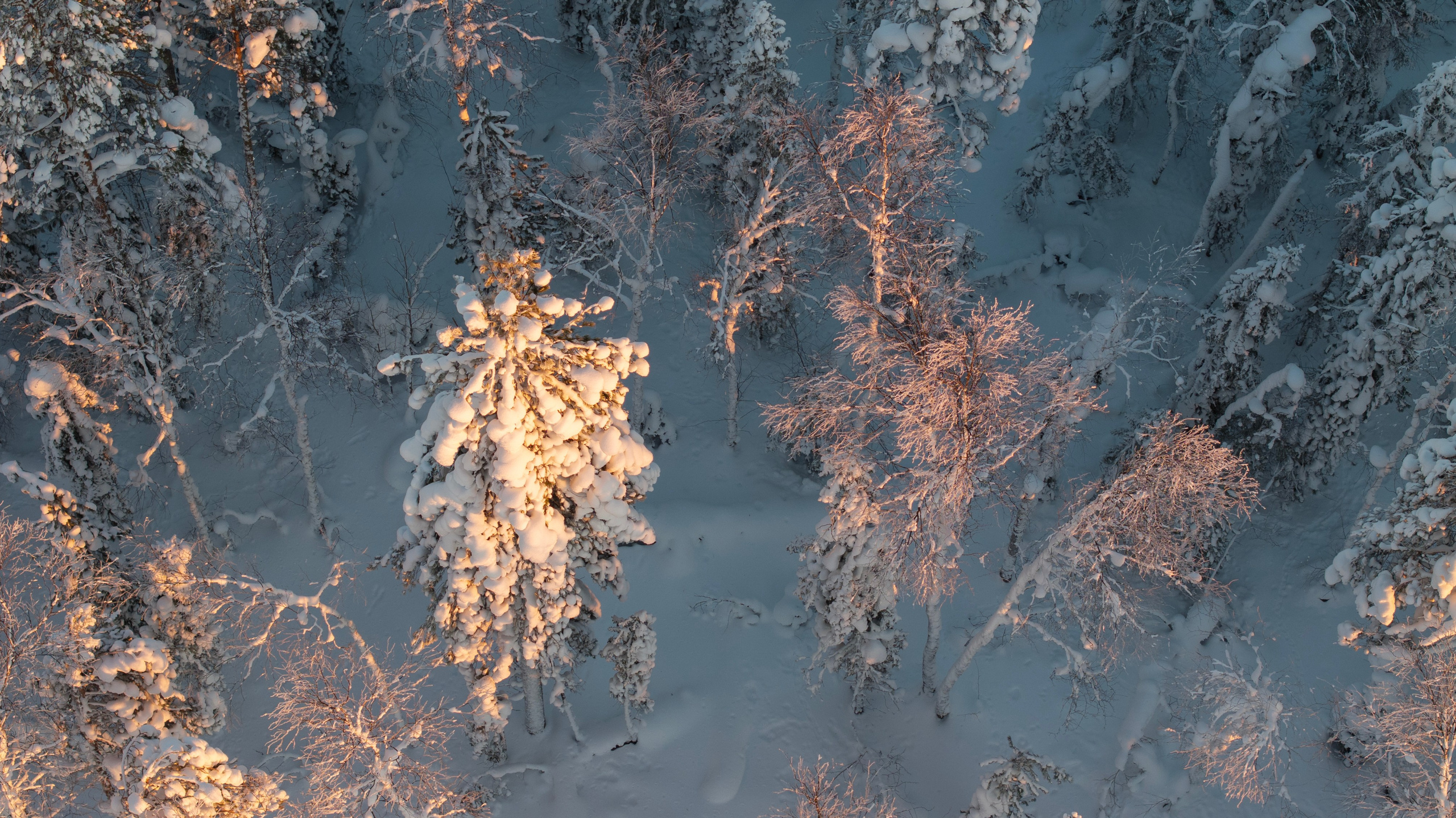 Портфолио. Фотограф Татьяна Борисова