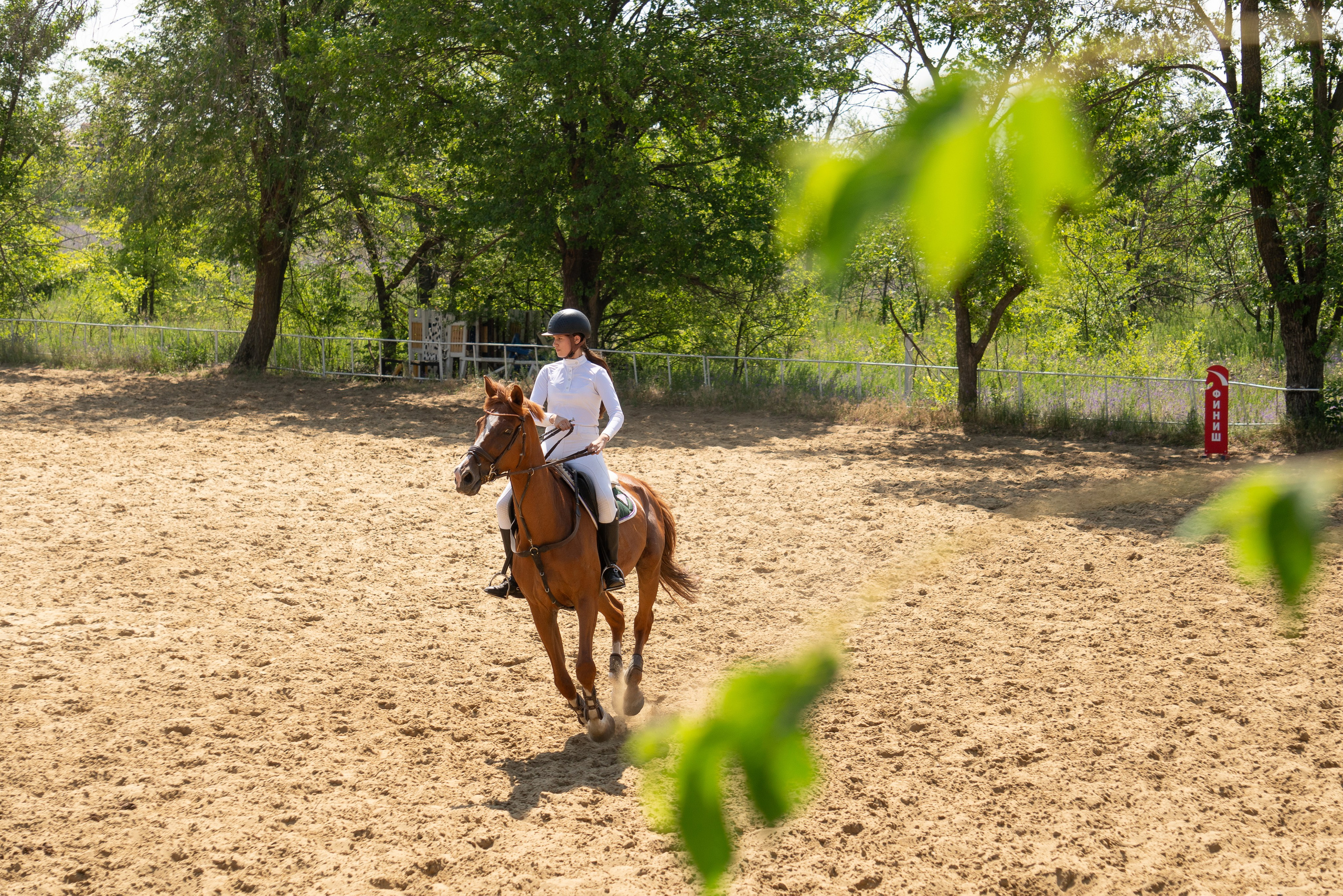 Соревнования по конкуру, Луганск. Фотограф в РФ и ЛНР Юлия Федосеева