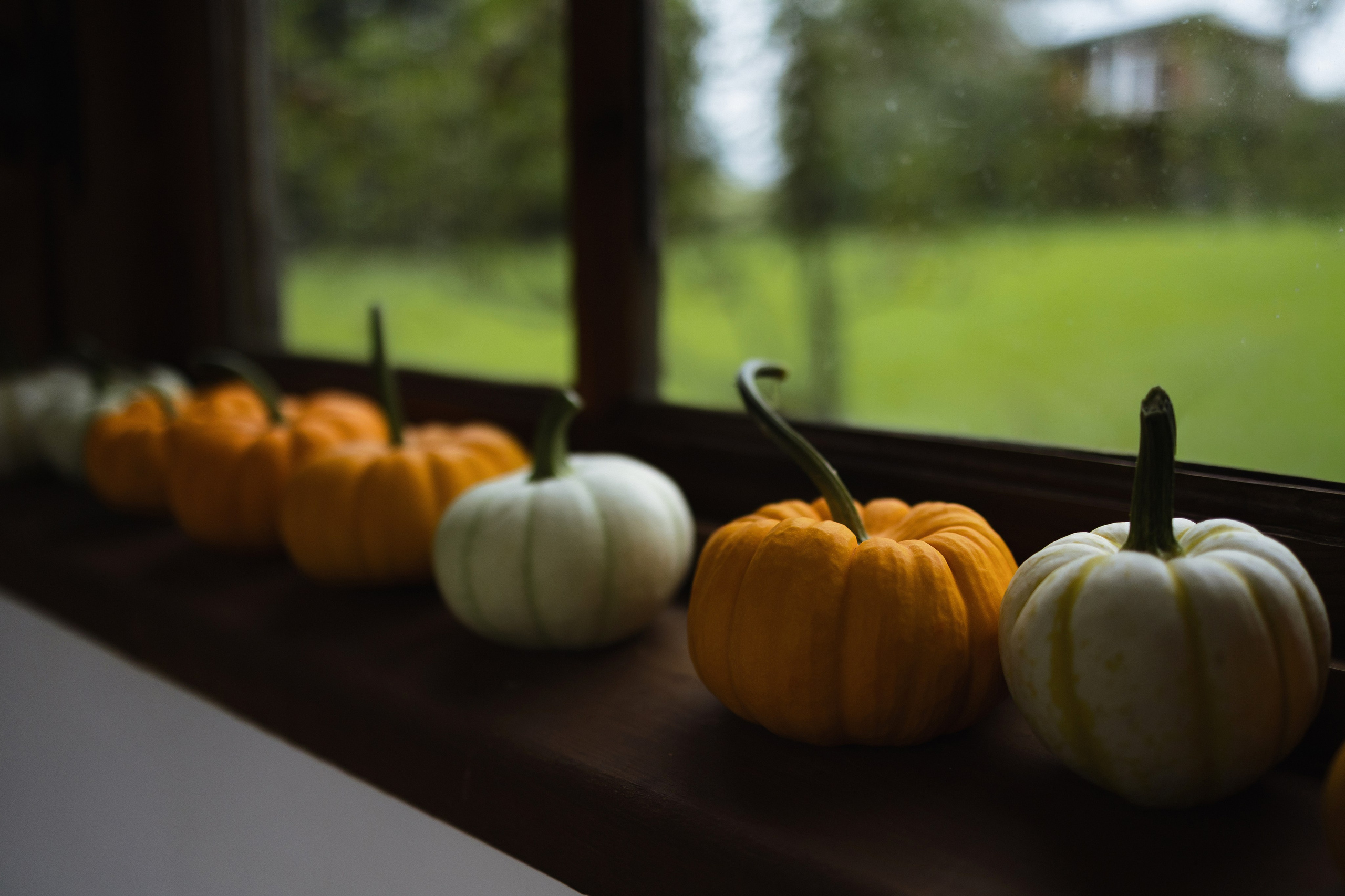 P&V. Свадебный фотограф Лиза Макатович Беларусь Минск