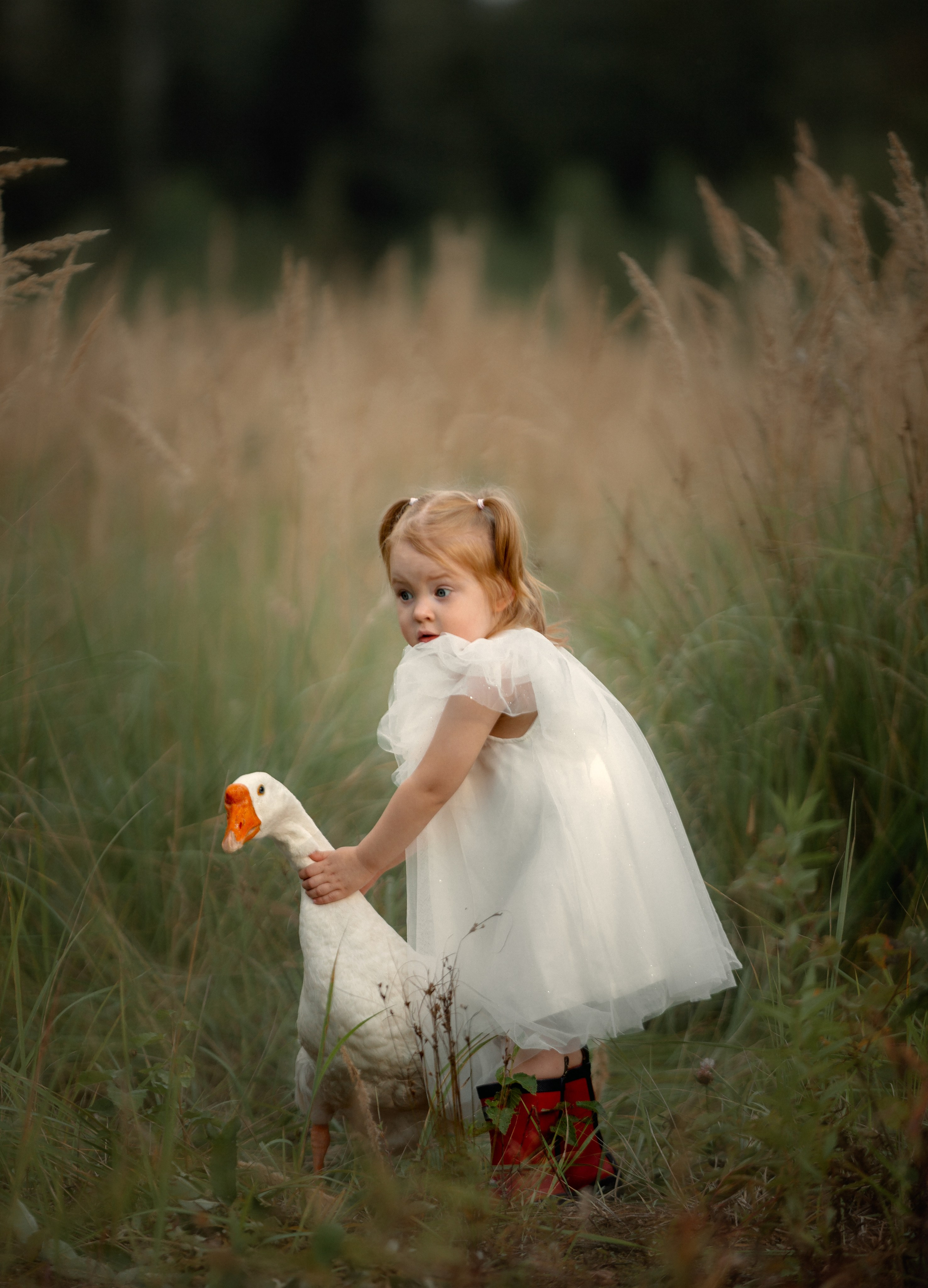 Семейная съёмка. Фотограф и видеограф в Москве Оля Штукерт