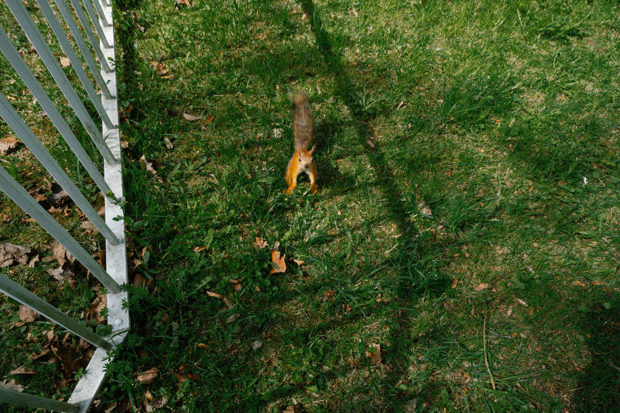 XIX. ARCHITECTURE | PHOTOGRAPHY