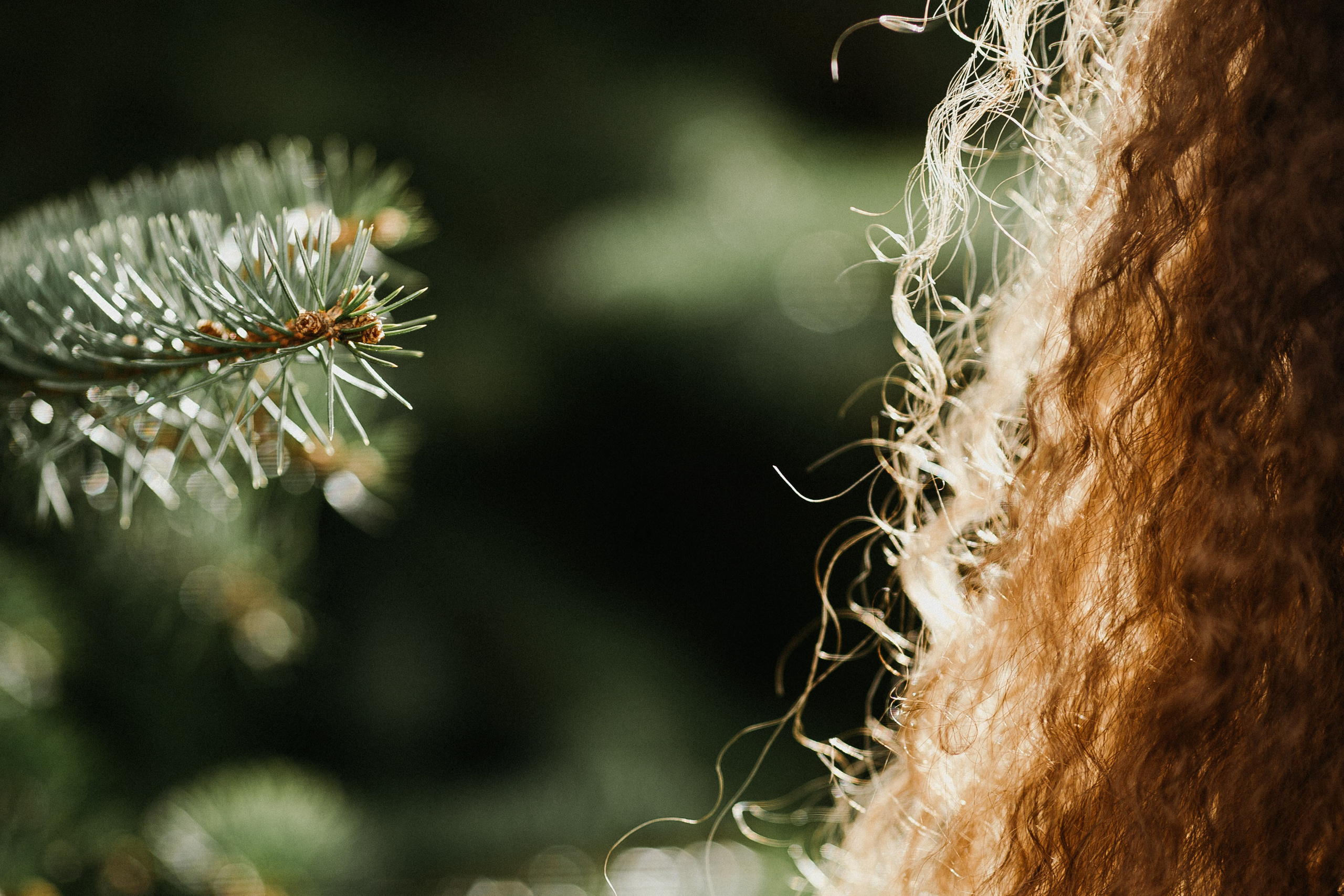 Алёна. Свадебный, семейный и репортажный фотограф Галобурда Юрий
