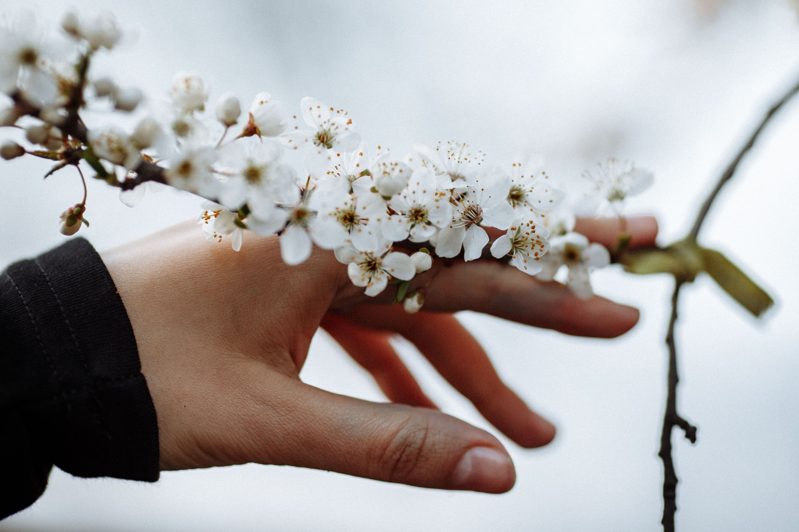 Коля и Аня. Свадебный, семейный и репортажный фотограф Галобурда Юрий