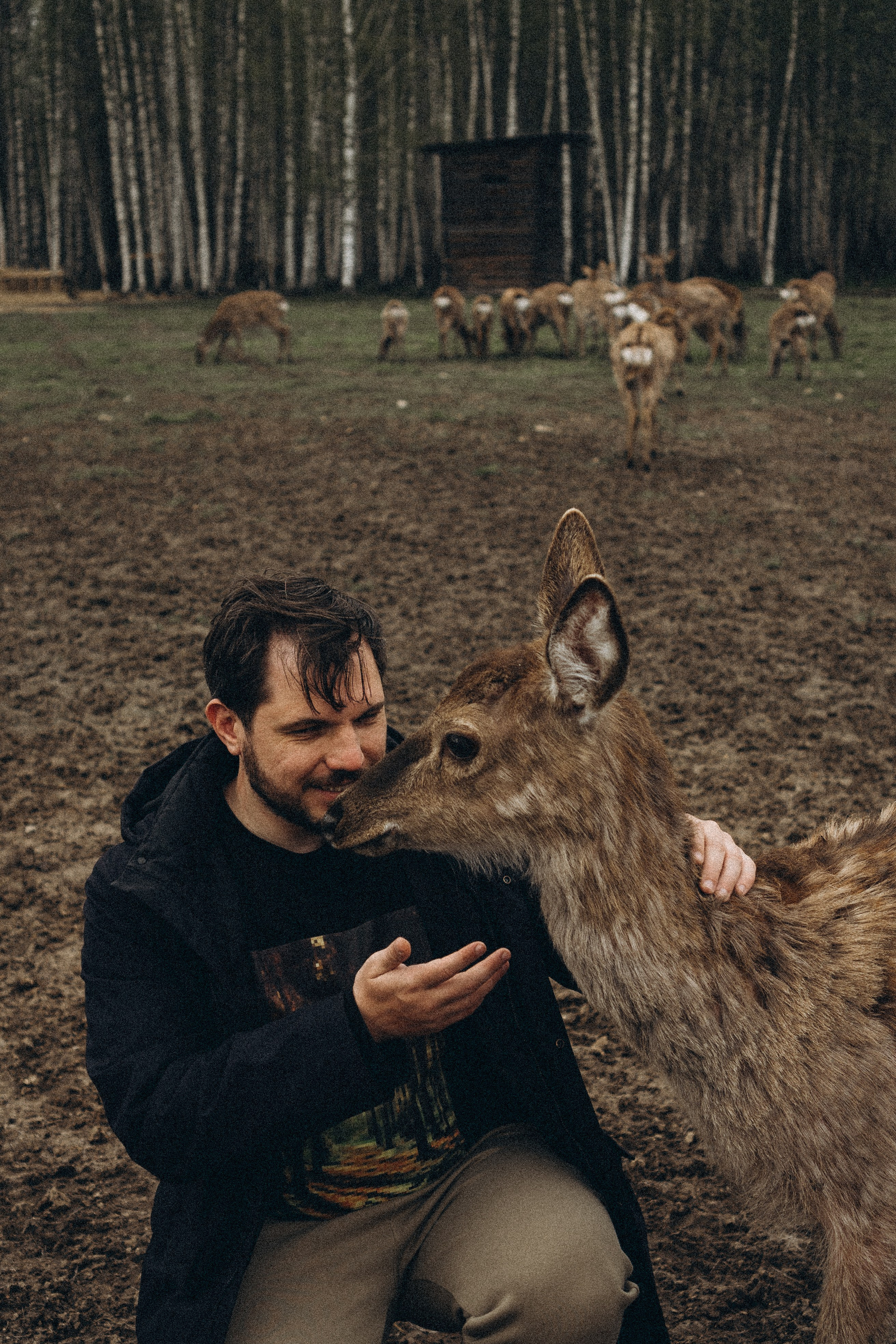 ОЛЕНЬЯ ФЕРМА В ТВЕРИ. Профессиональный фотограф, Санкт-Петербург — Виктория Богомолова
