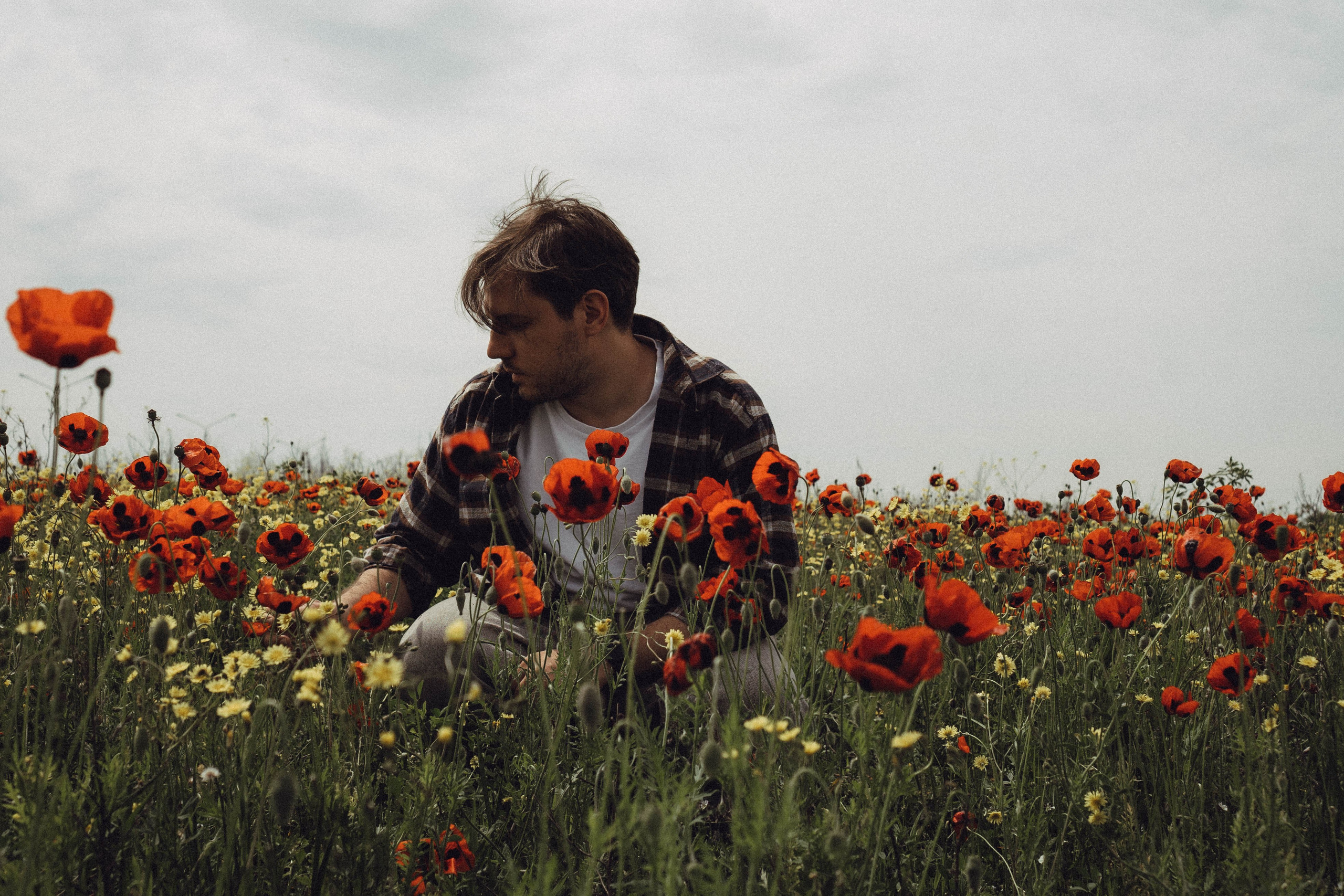 Маки. Профессиональный фотограф, Санкт-Петербург — Виктория Богомолова