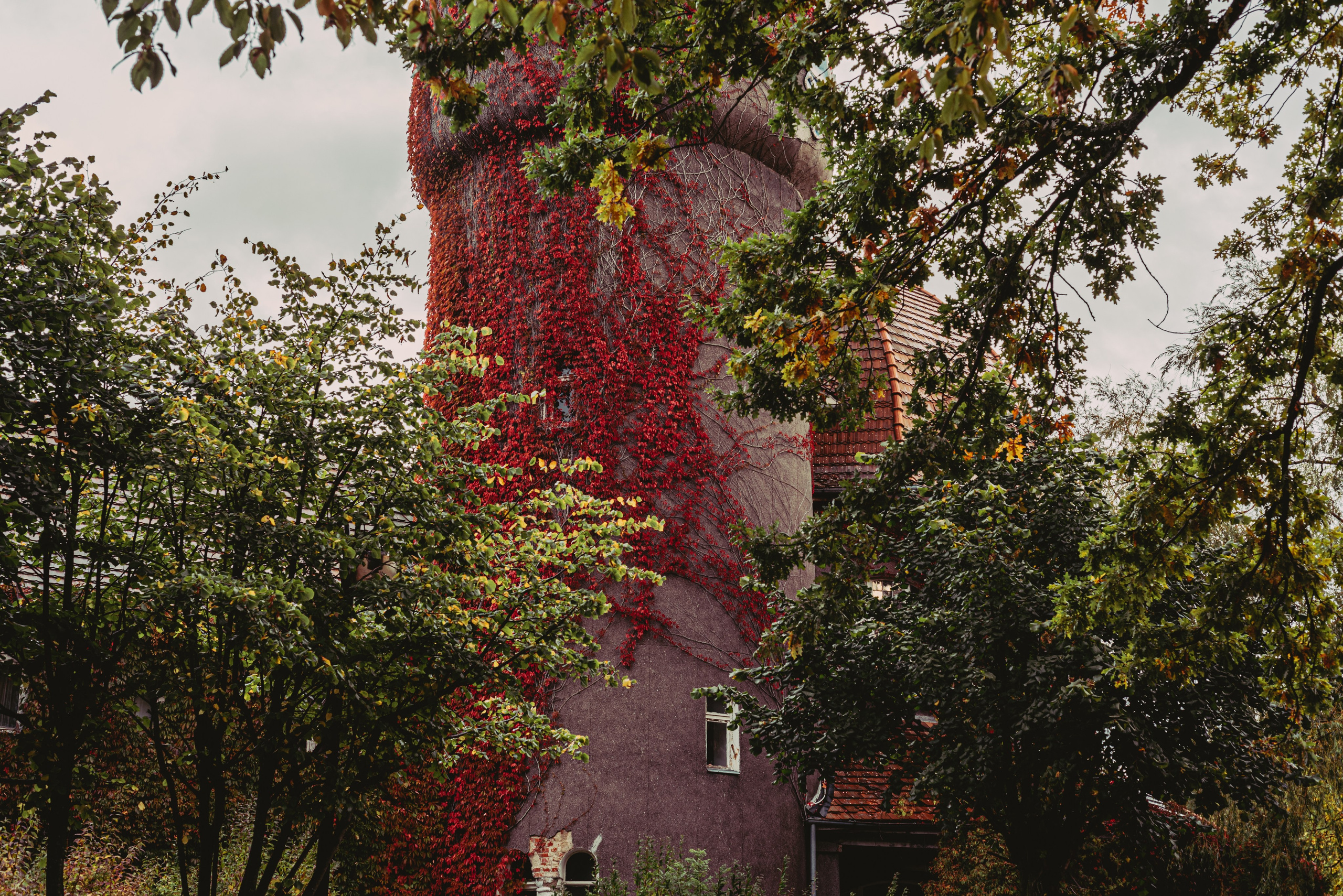 Калининград и его область: через объектив рекламного фотографа из Гуанчжо. Коммерческий и предметный фотограф в Гуанчжоу Коваленко Александр