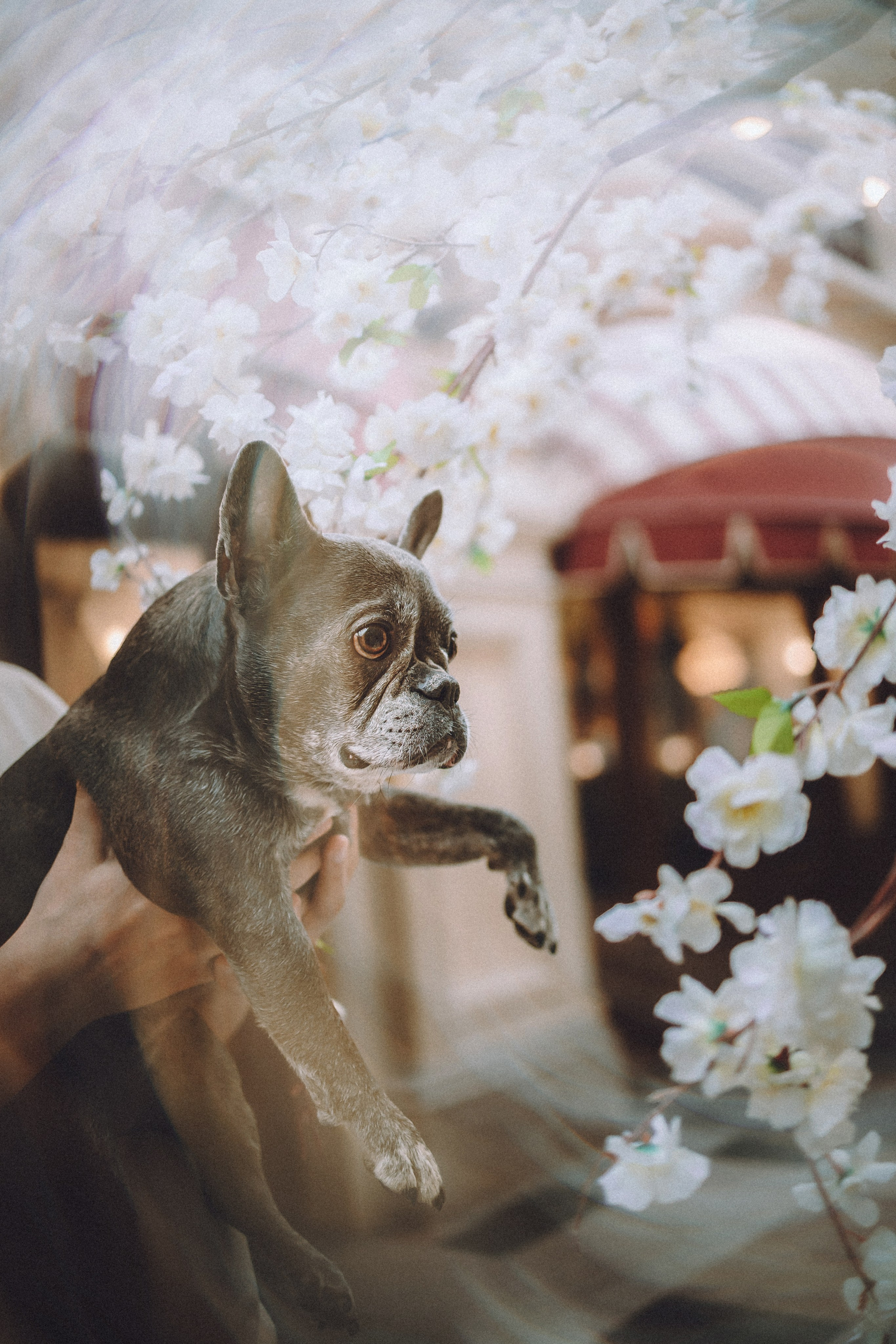 Юля, Вова и Моня