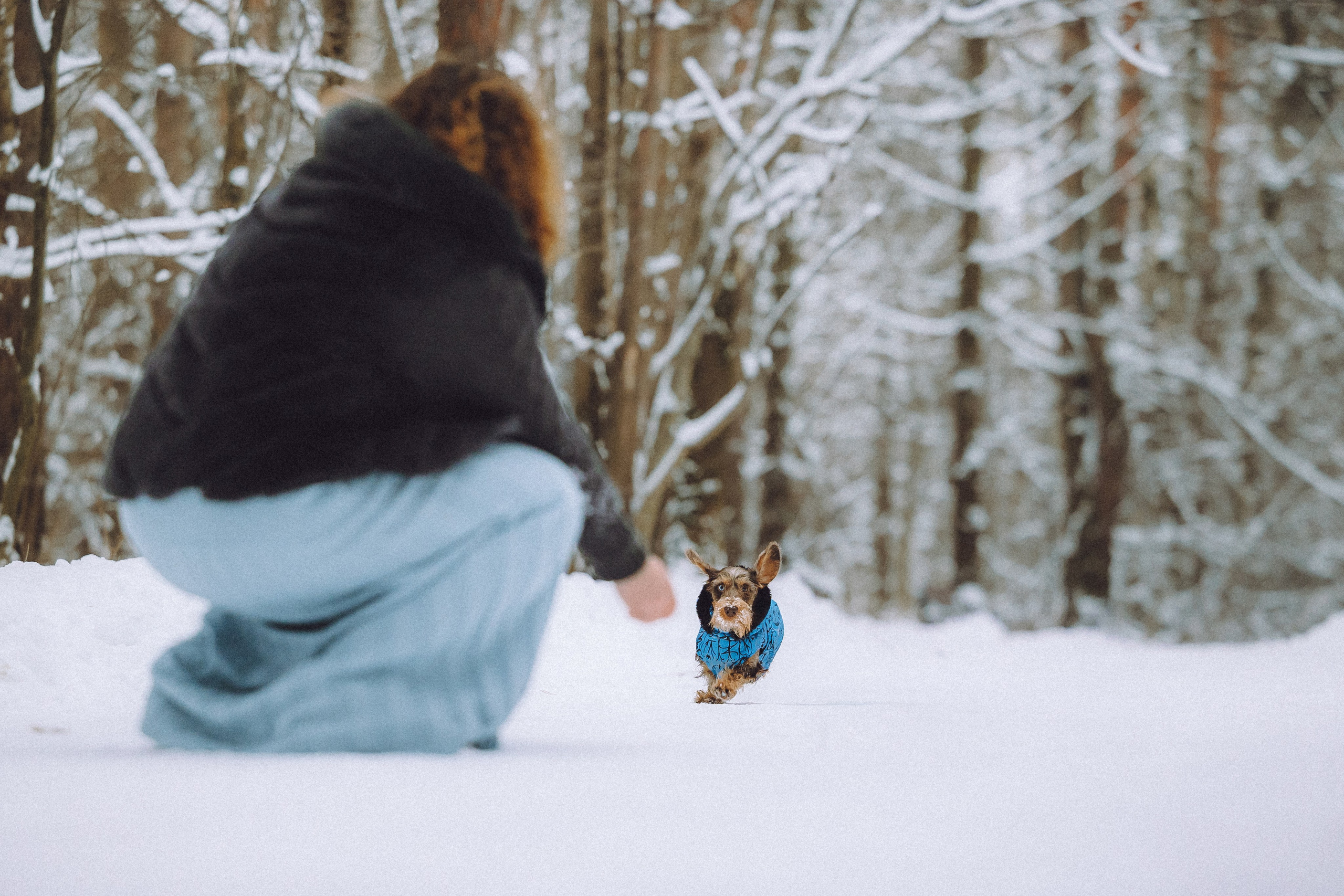 Каспер и его семья