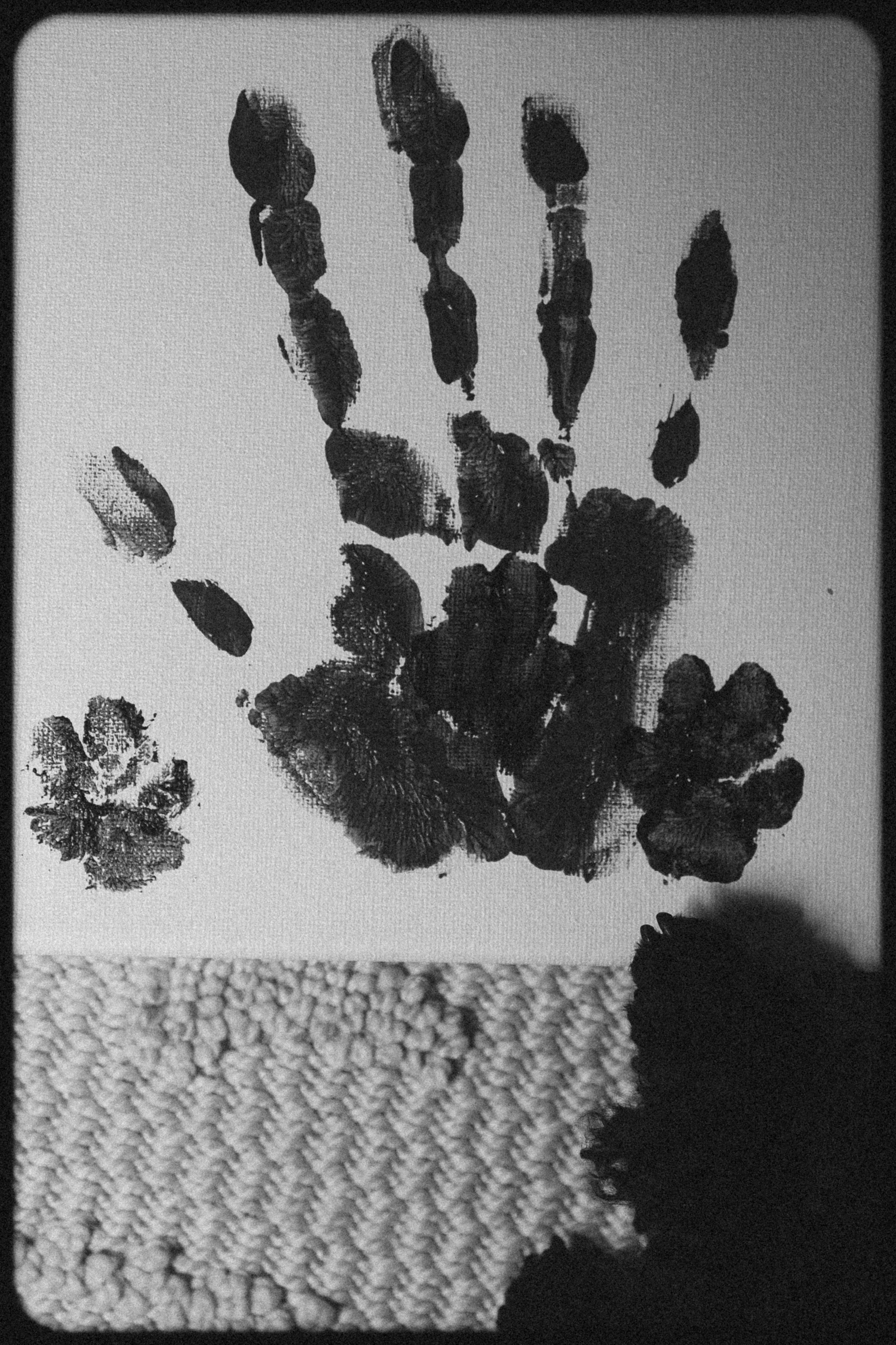 Полина и Мия. Фотораф — анималист Мария Шистка