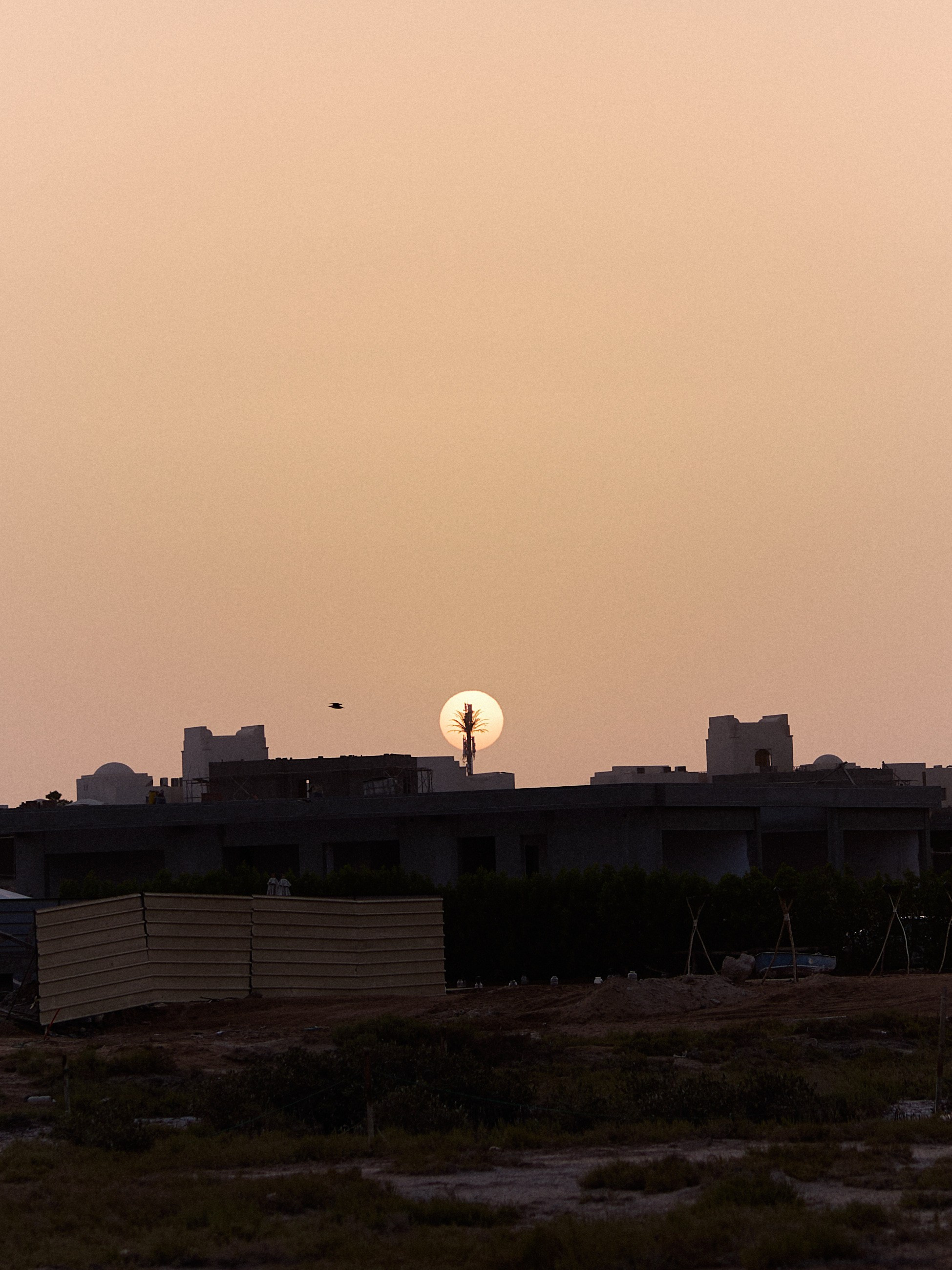 Другое 3. Jorgis Talè — photographer, kind person, teacher of arts and other mag