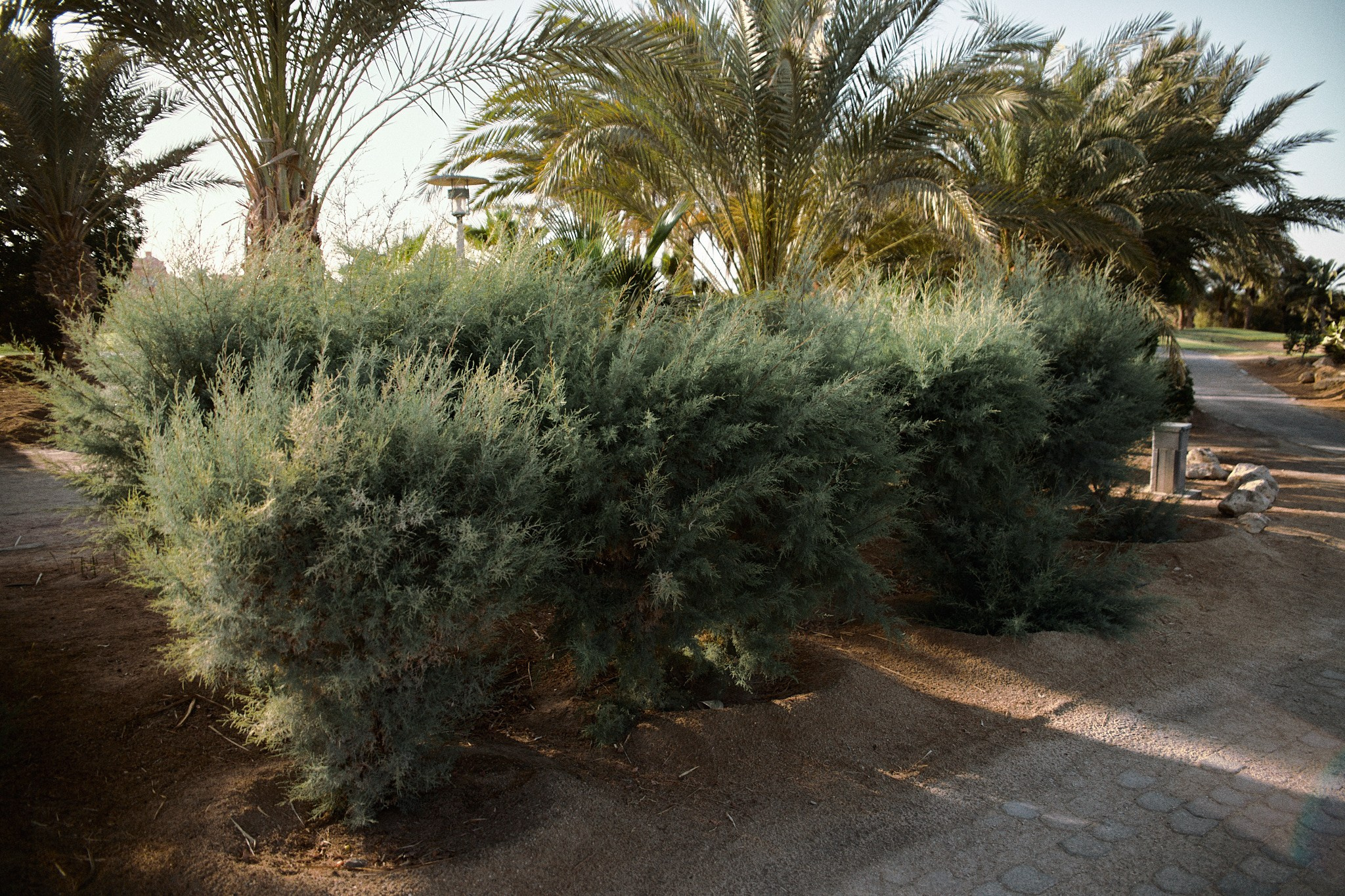 Улица горизонтальная. Jorgis — фотограф в Хургаде / обучение фотографии