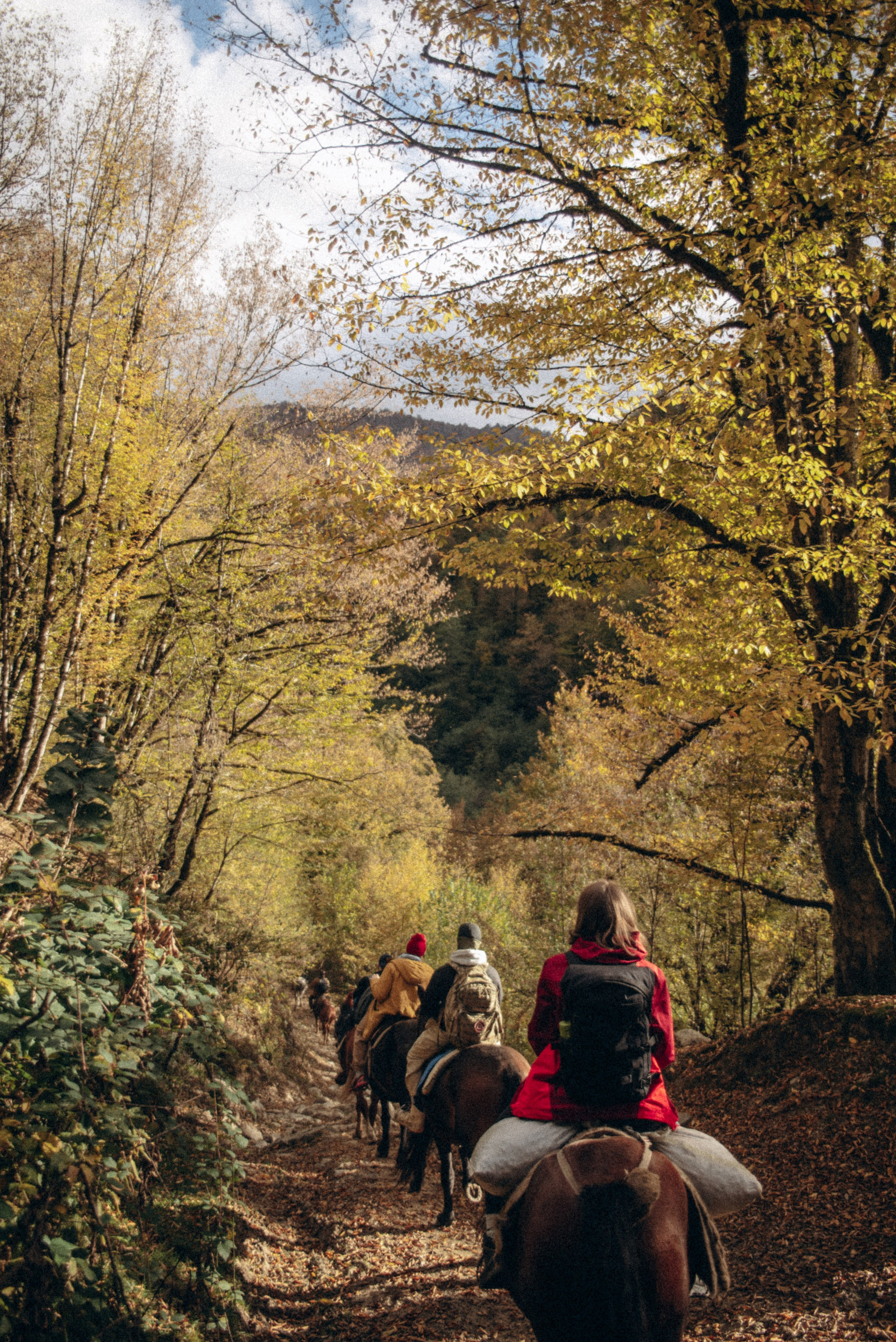 Конный поход 🇬🇪 «PVD Club». Anita_photo