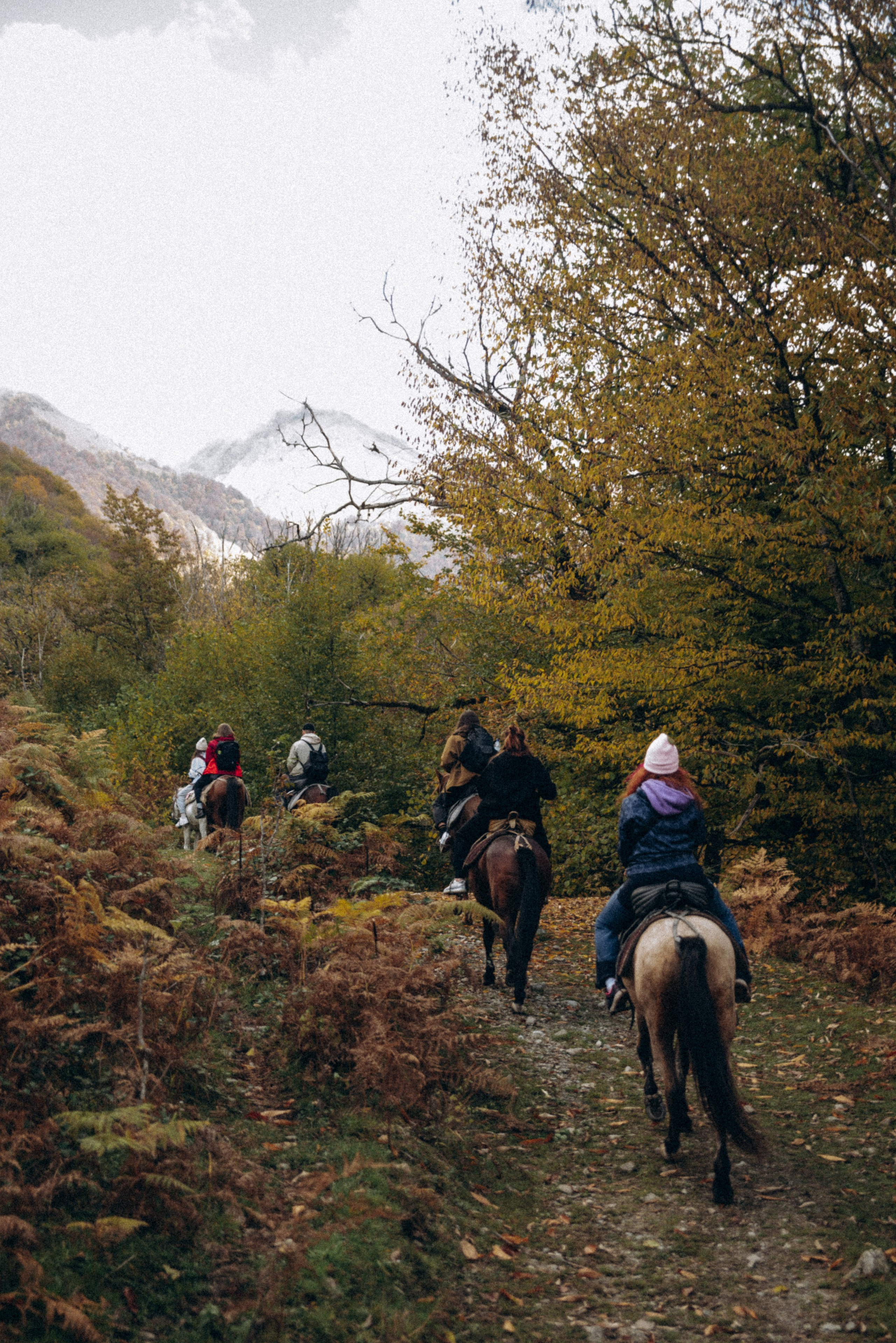 Конный поход 🇬🇪 «PVD Club». Anita_photo