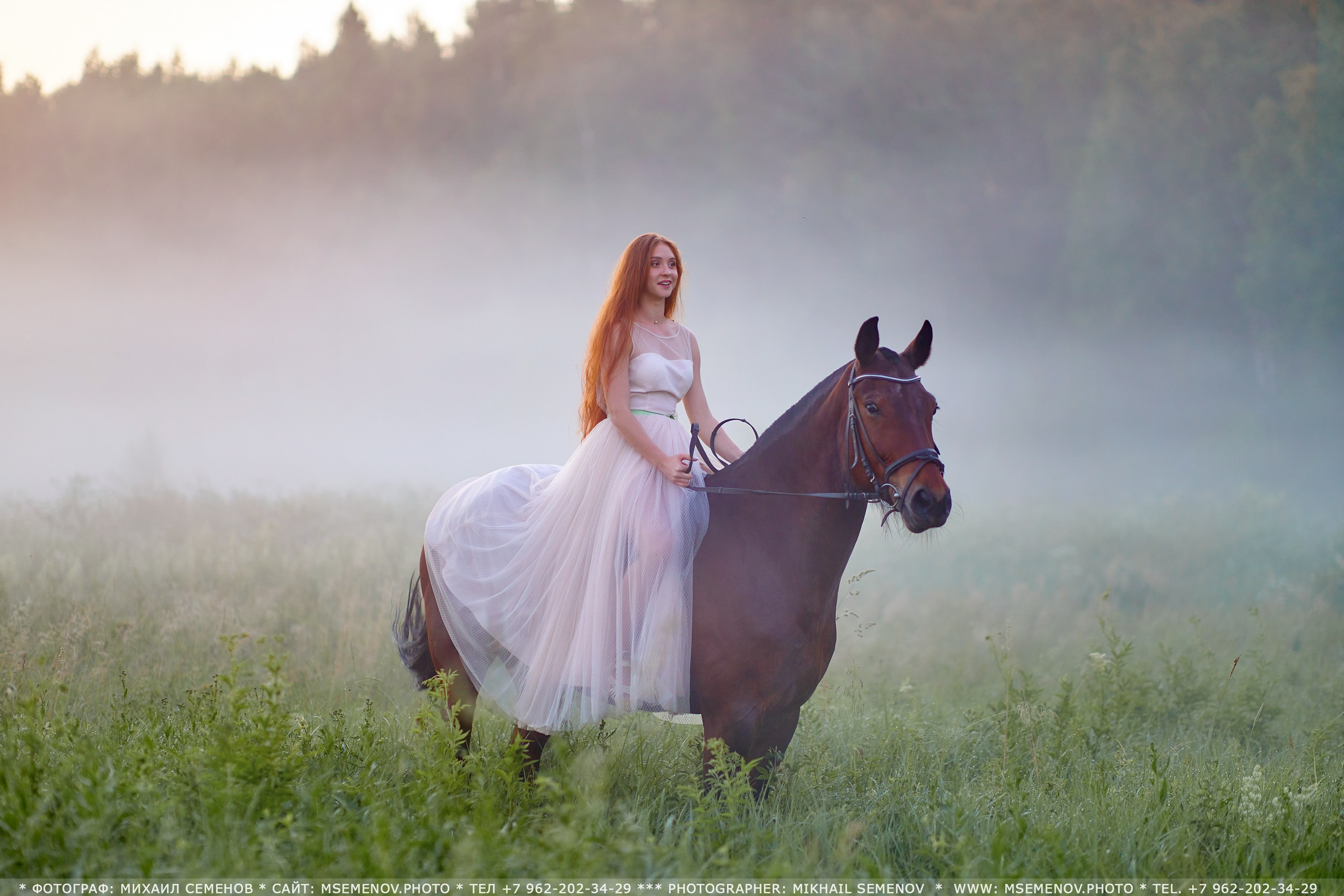Фотосессия с лошадьми, Фотограф Михаил Семенов г. Ярославль
