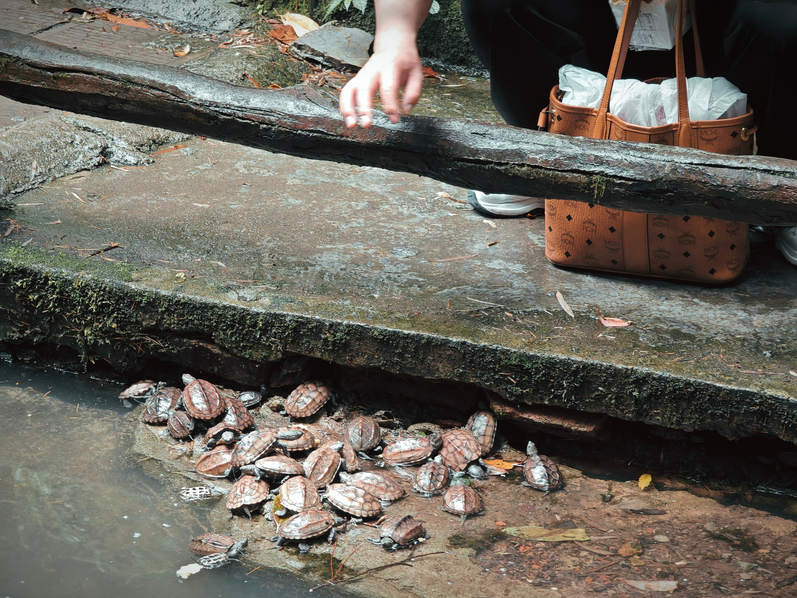 The Great Journey to China. Brjankin.com