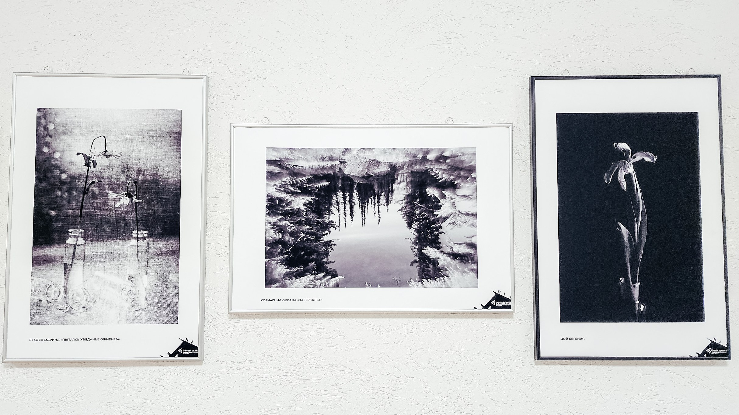 «Фотострелка» | Фестиваль черно-белой фотографии. Фотограф в Красноярске Оксана Корчагина