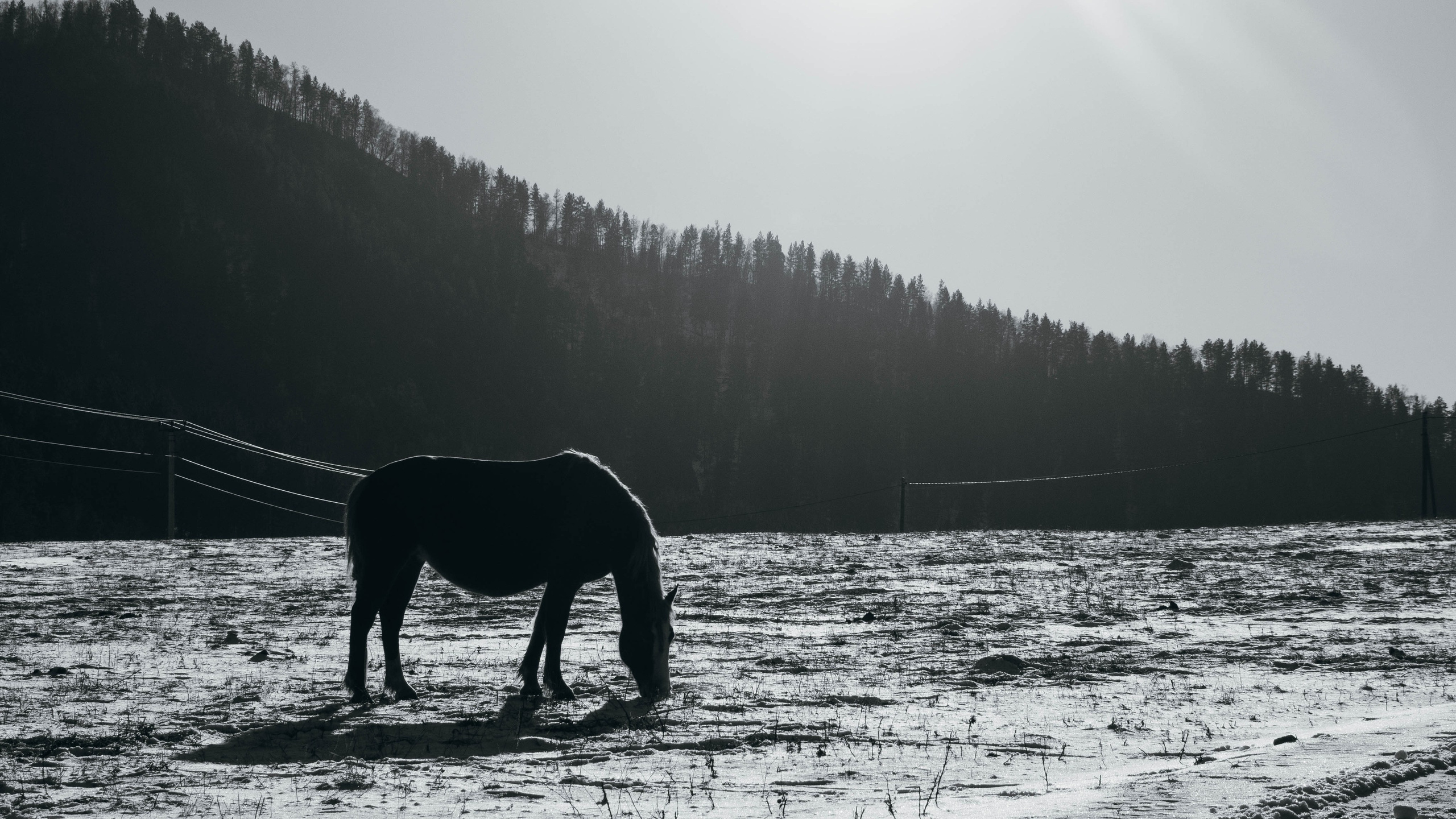 Путешествия. Anastasiia Kron