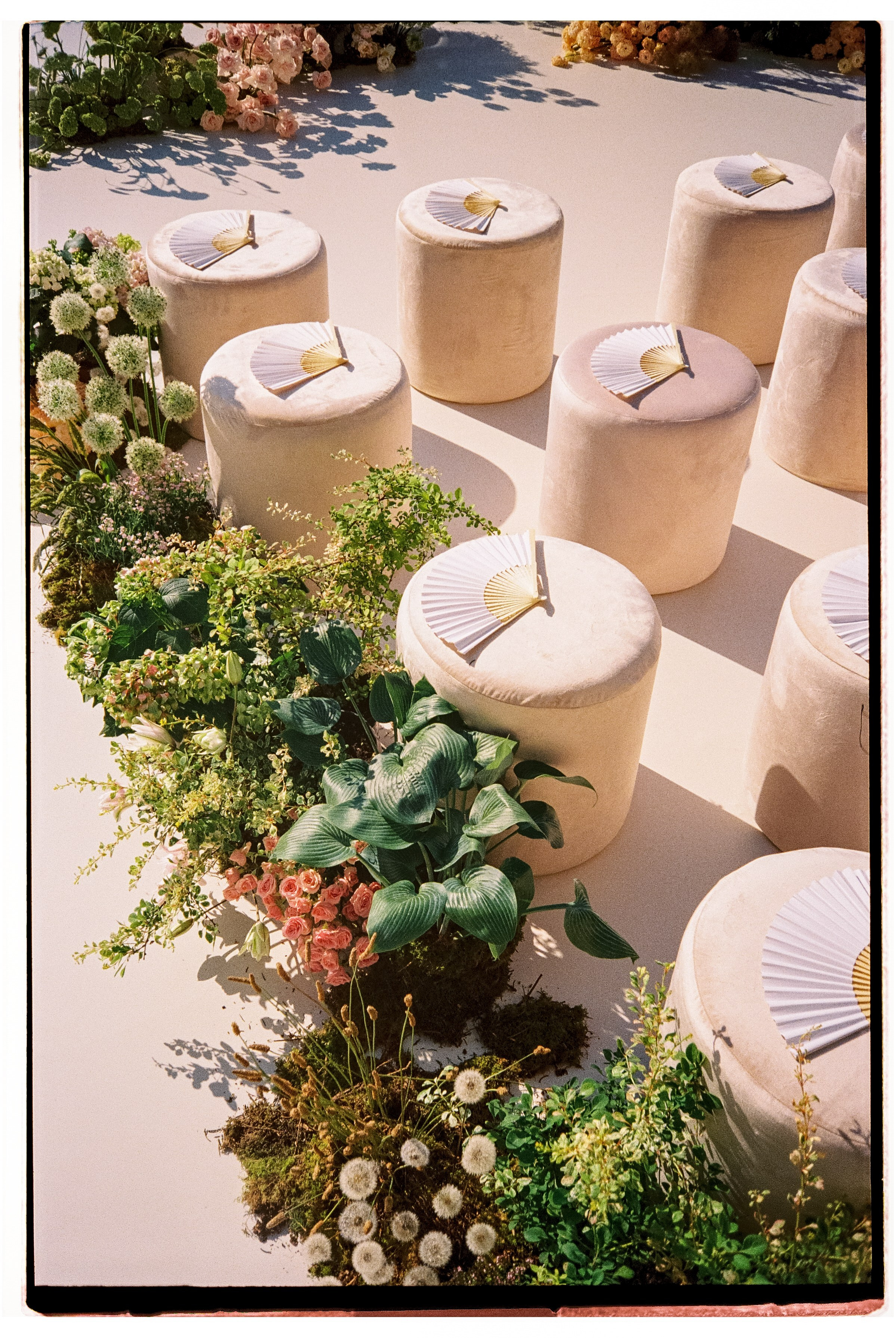 Дмитрий Малявка | Профессиональный свадебный фотограф в Ростове, Москве и любой точке мира