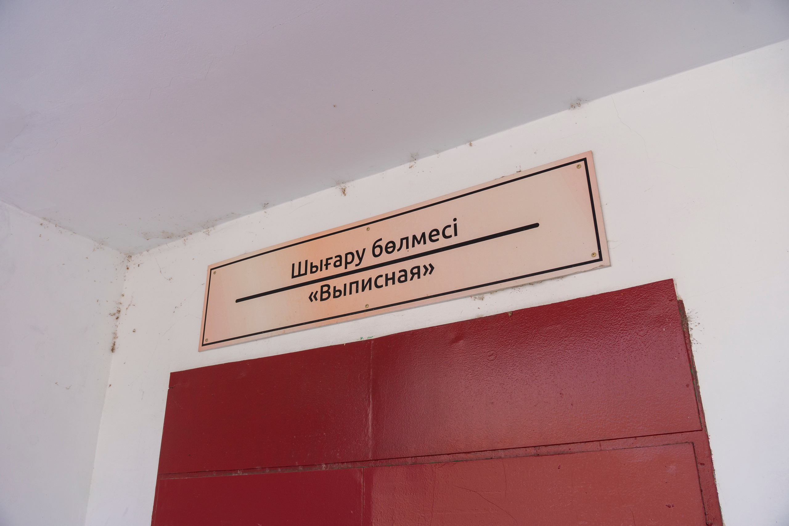 Vypiska iz roddoma. Видеограф Павлодар