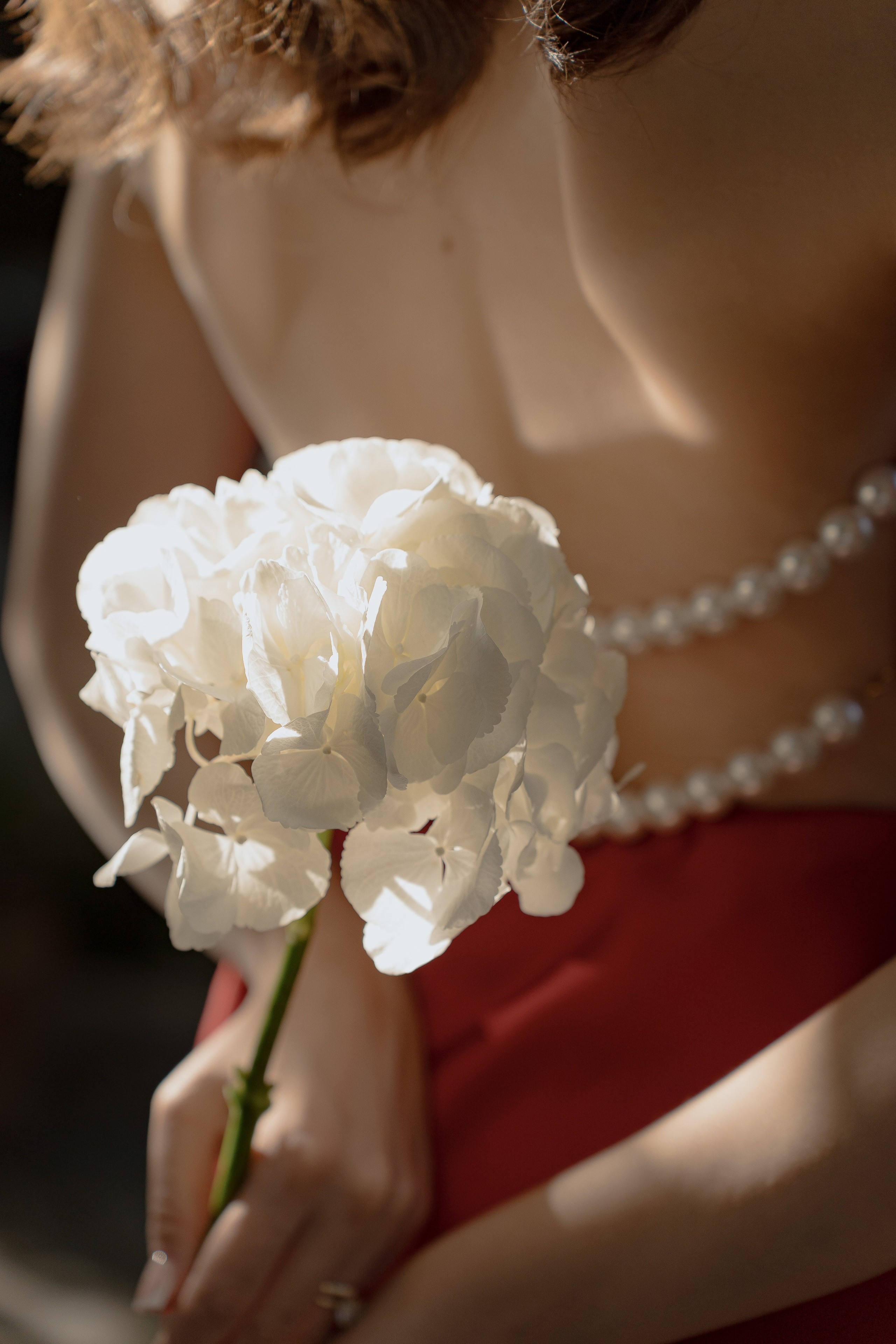 İrandek. Fotoğrafçı. İzmir