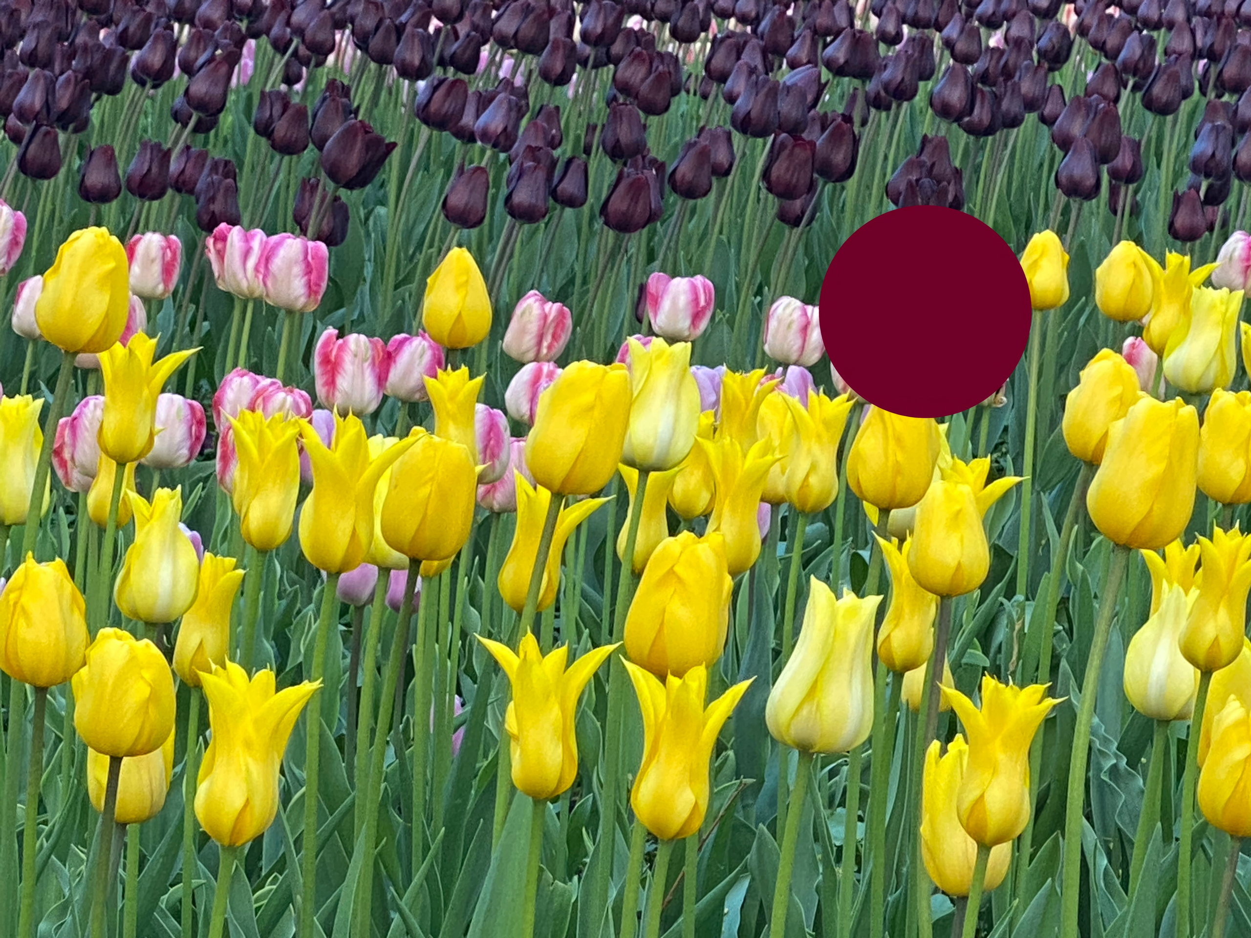 Испорченные фотографии — авторская серия Ма. Ма