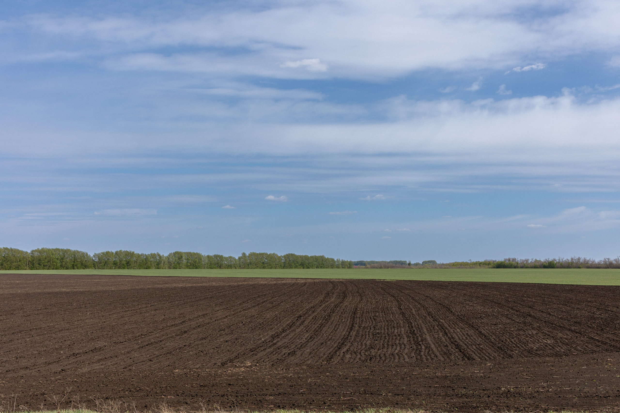 Земельный участок с объектами на нём. Владислав Волков | Фотография и видеосъемка в Воронеже