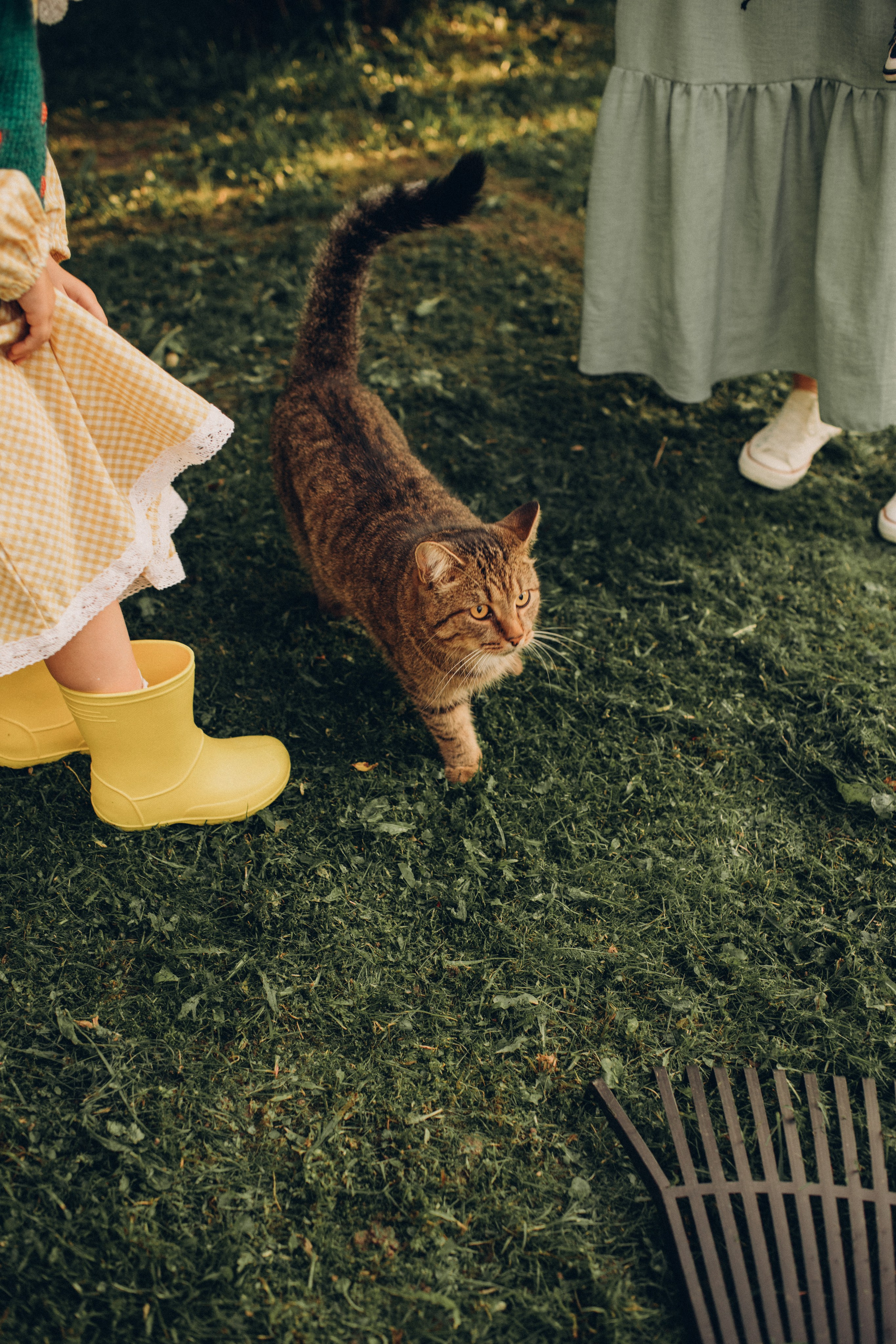 На природе. Фотограф Алиса Чечина. Калуга. Товарково