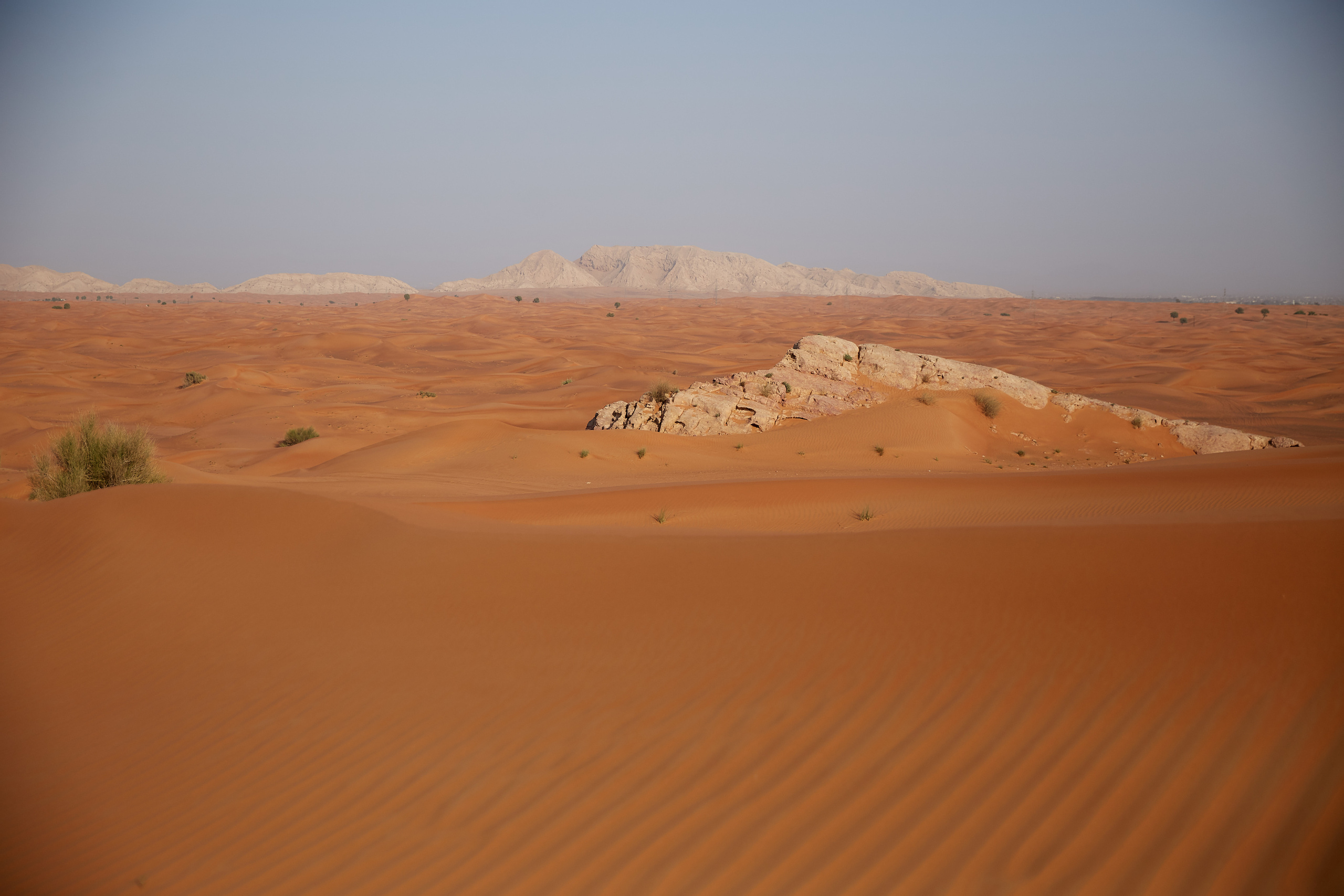 Хозяйка пустыни. Профессиональный фотограф Светлана Писарева