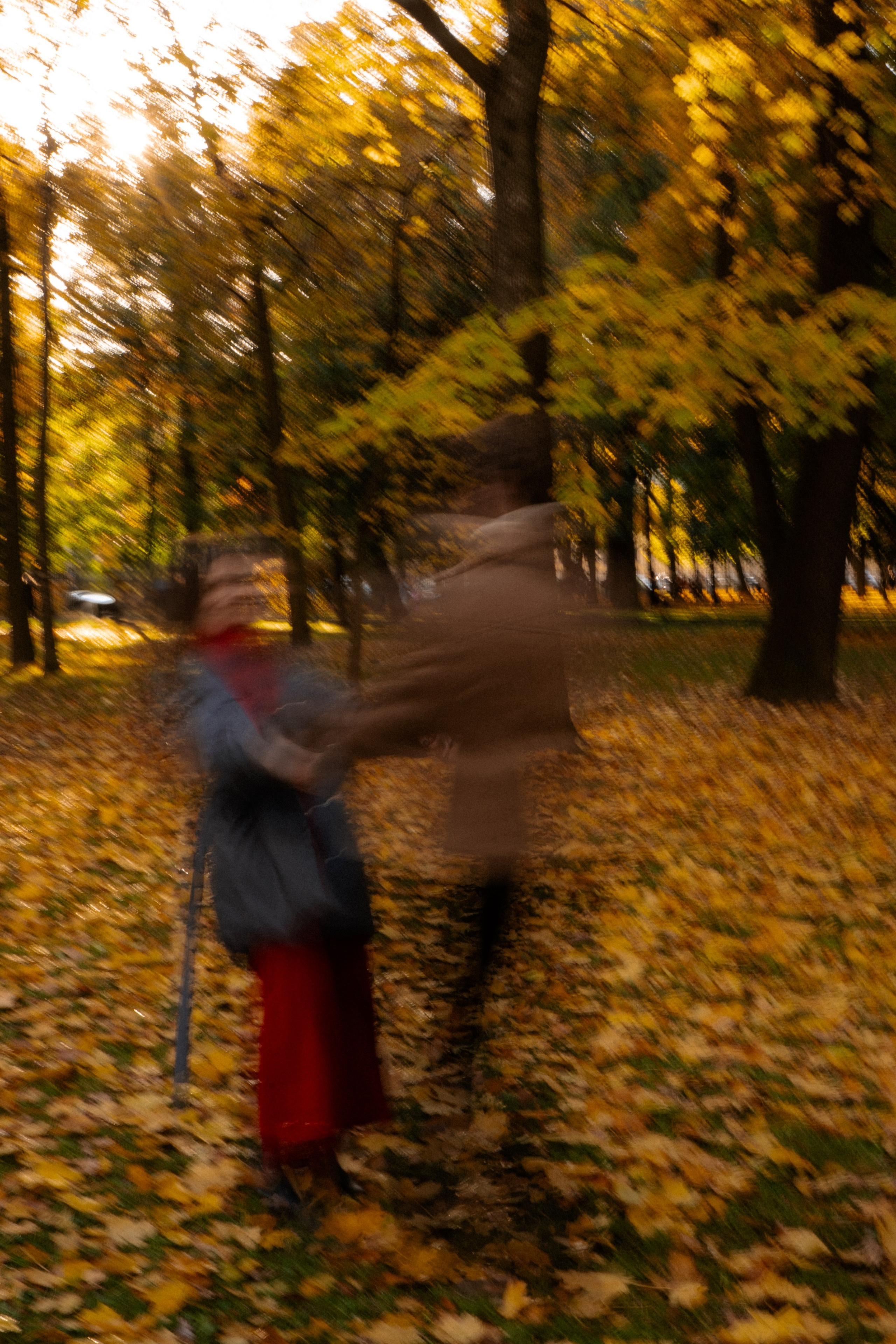 ОСЕННЯЯ ПРОГУЛКА. Профессиональный фотограф, Санкт-Петербург — Виктория Богомолова
