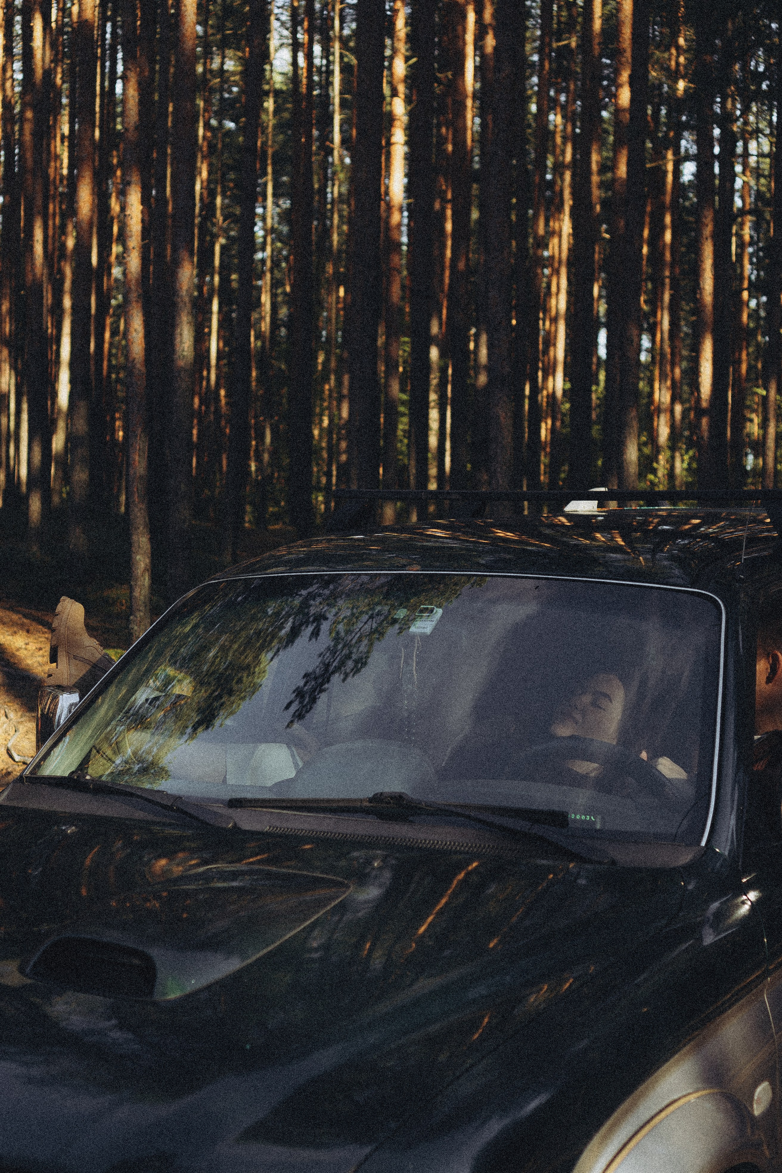 Прогулка по Финскому заливу. Профессиональный фотограф, Санкт-Петербург — Виктория Богомолова