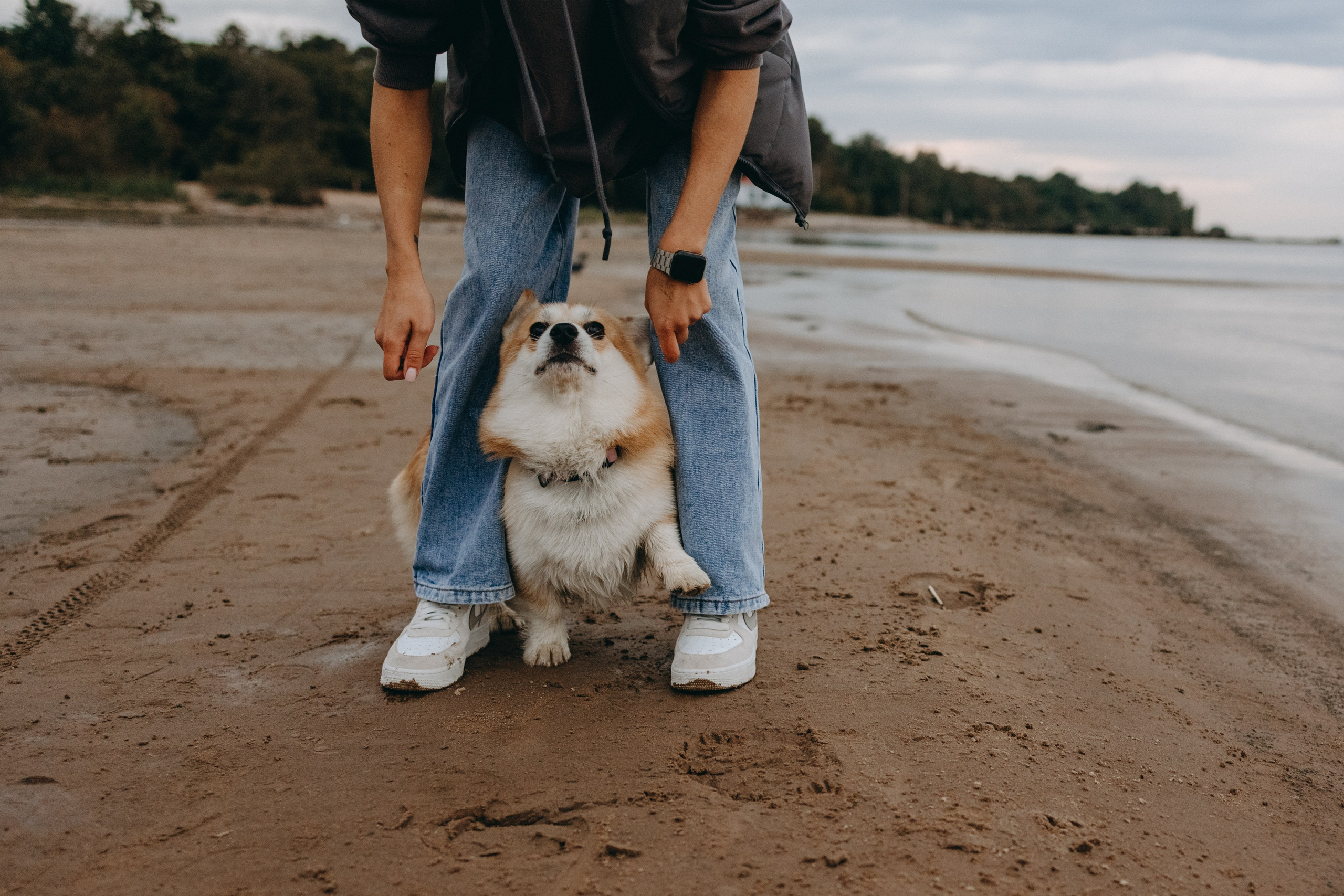 Лиза и Бакс. Фотограф — Анималист | Санкт-Петербург