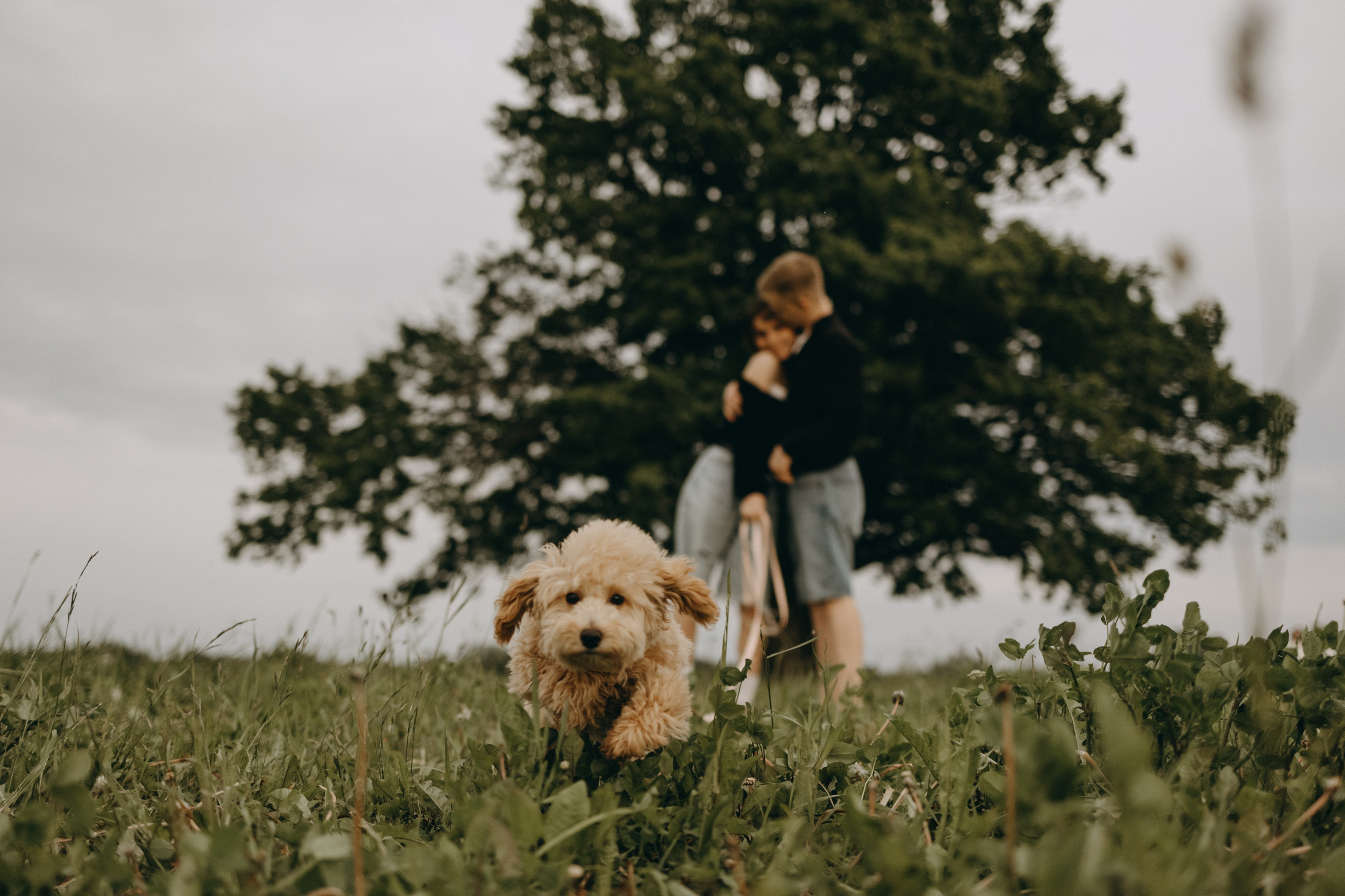 Мия и ее семья. Фотограф — Анималист | Санкт-Петербург