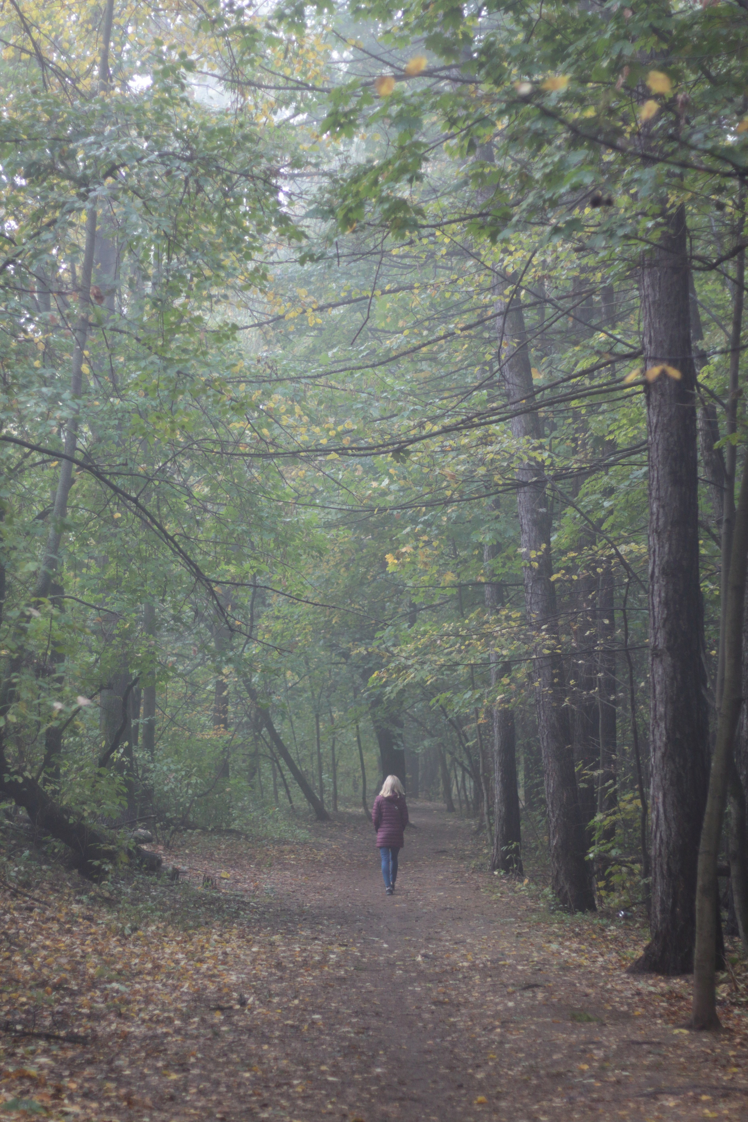 Старое природное, отбирала Katamount (Катерина Горохова). Главная