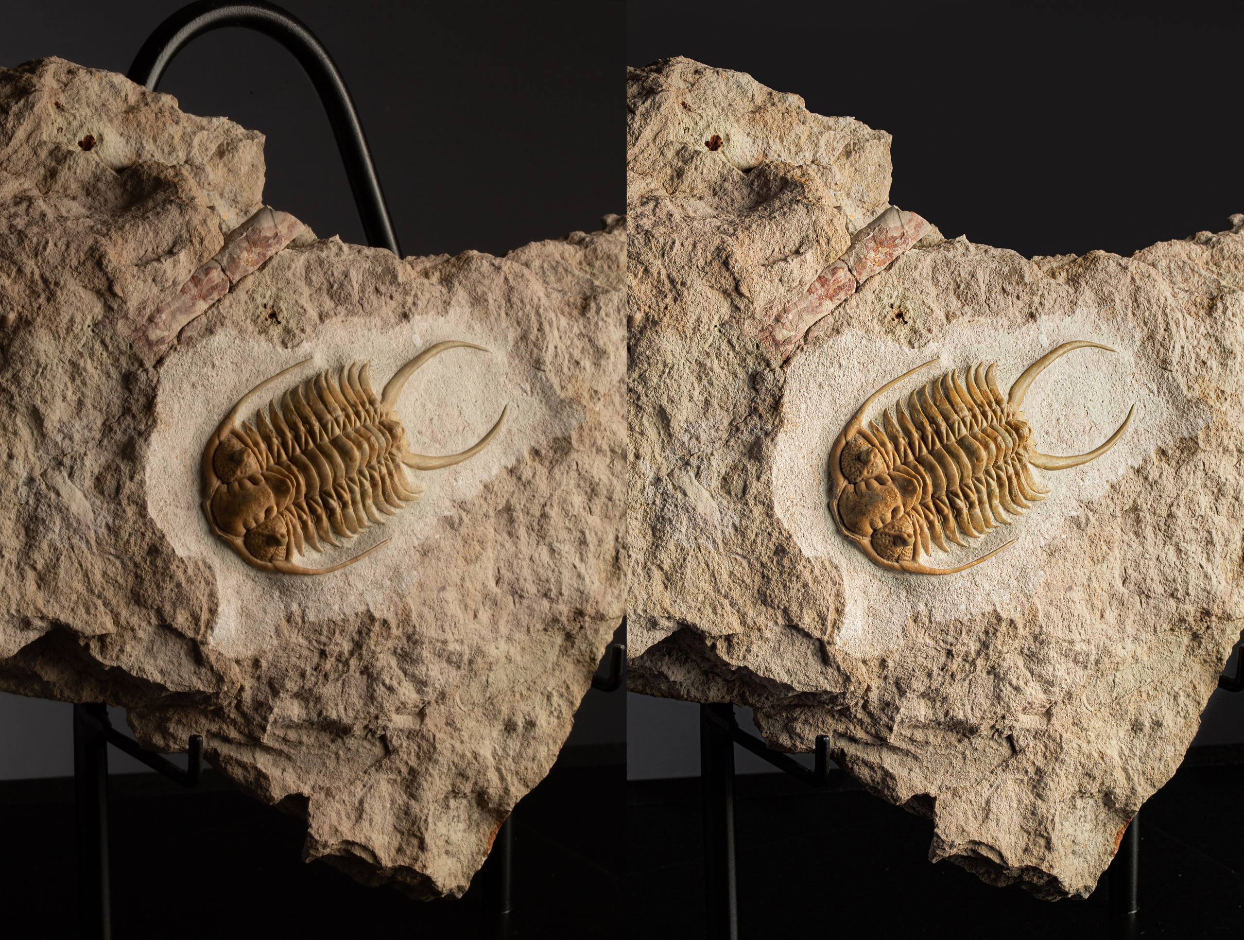 Предметы коллекционирования