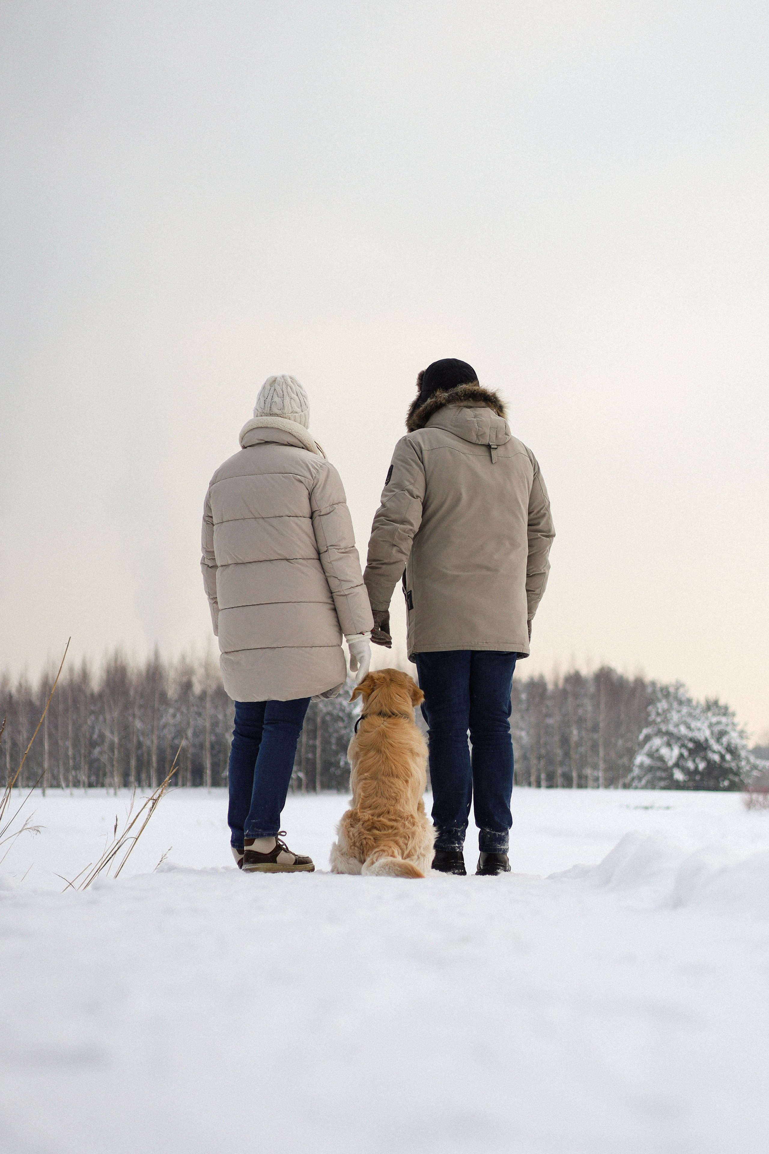Стивен, Лена и Миша. Фотограф-анималист Ксения Шевцова|Москва